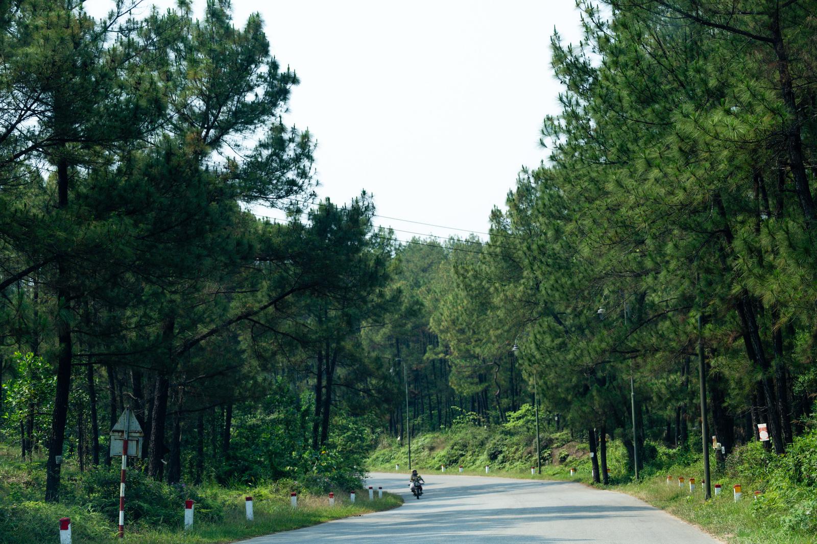 Road to Khai Dinh Tomb
