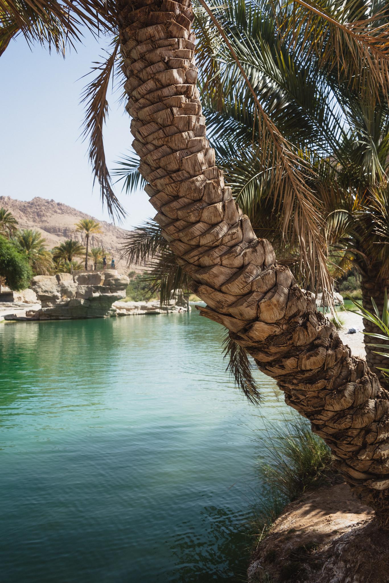 The Wadi Impressions