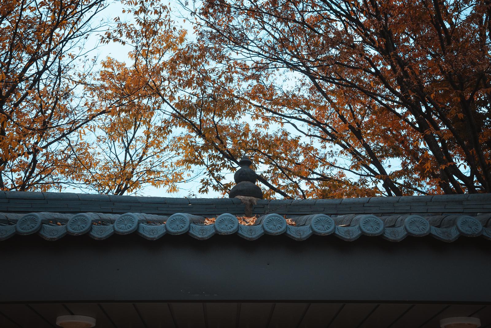 Roof Structures in Daereungwon