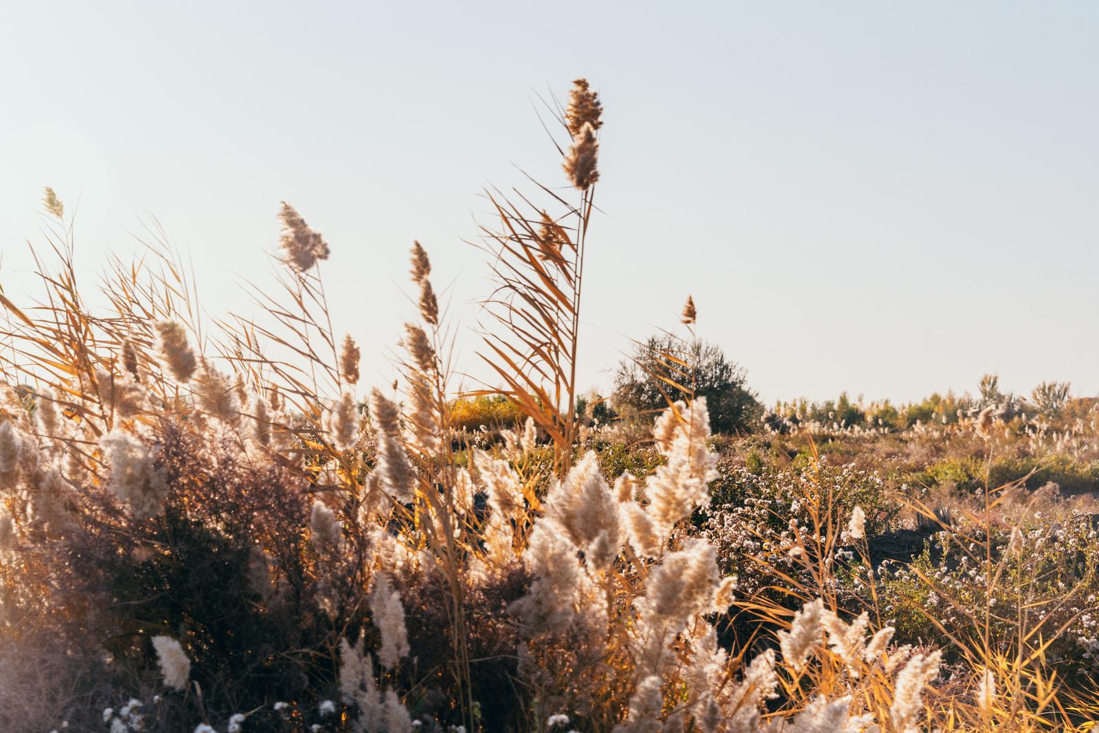 Autumn on the Roads of Karakalpak