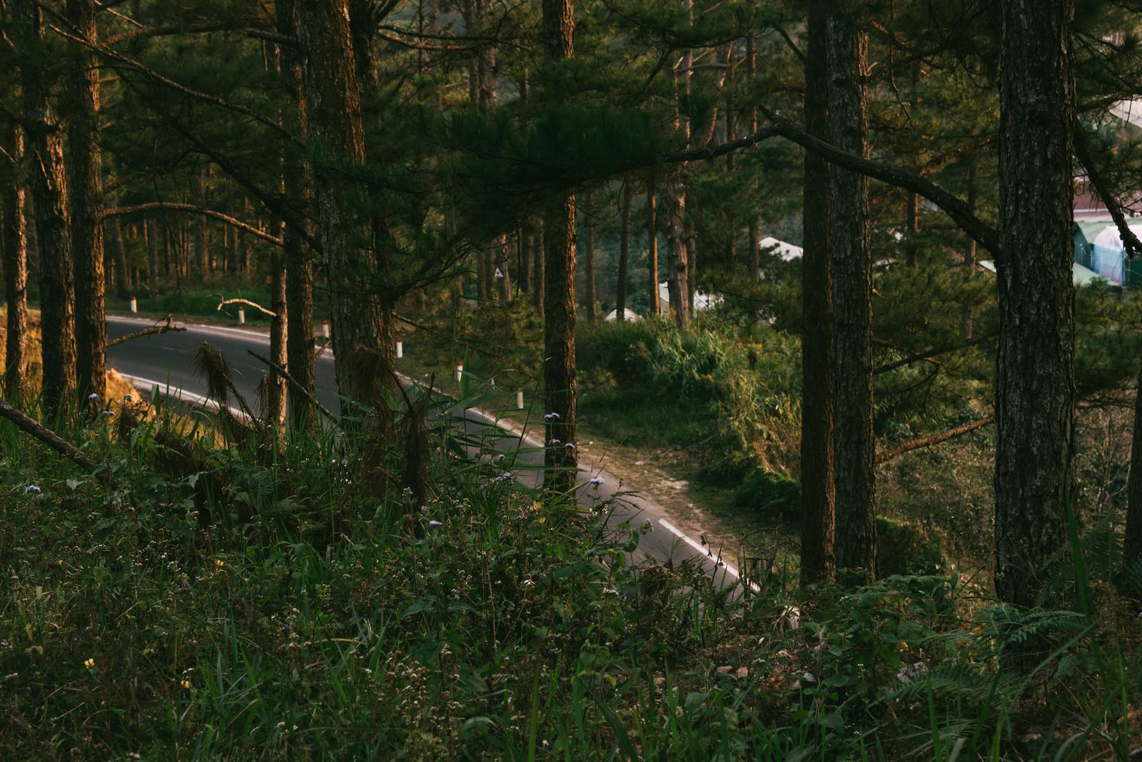 Crossing Roads Alone