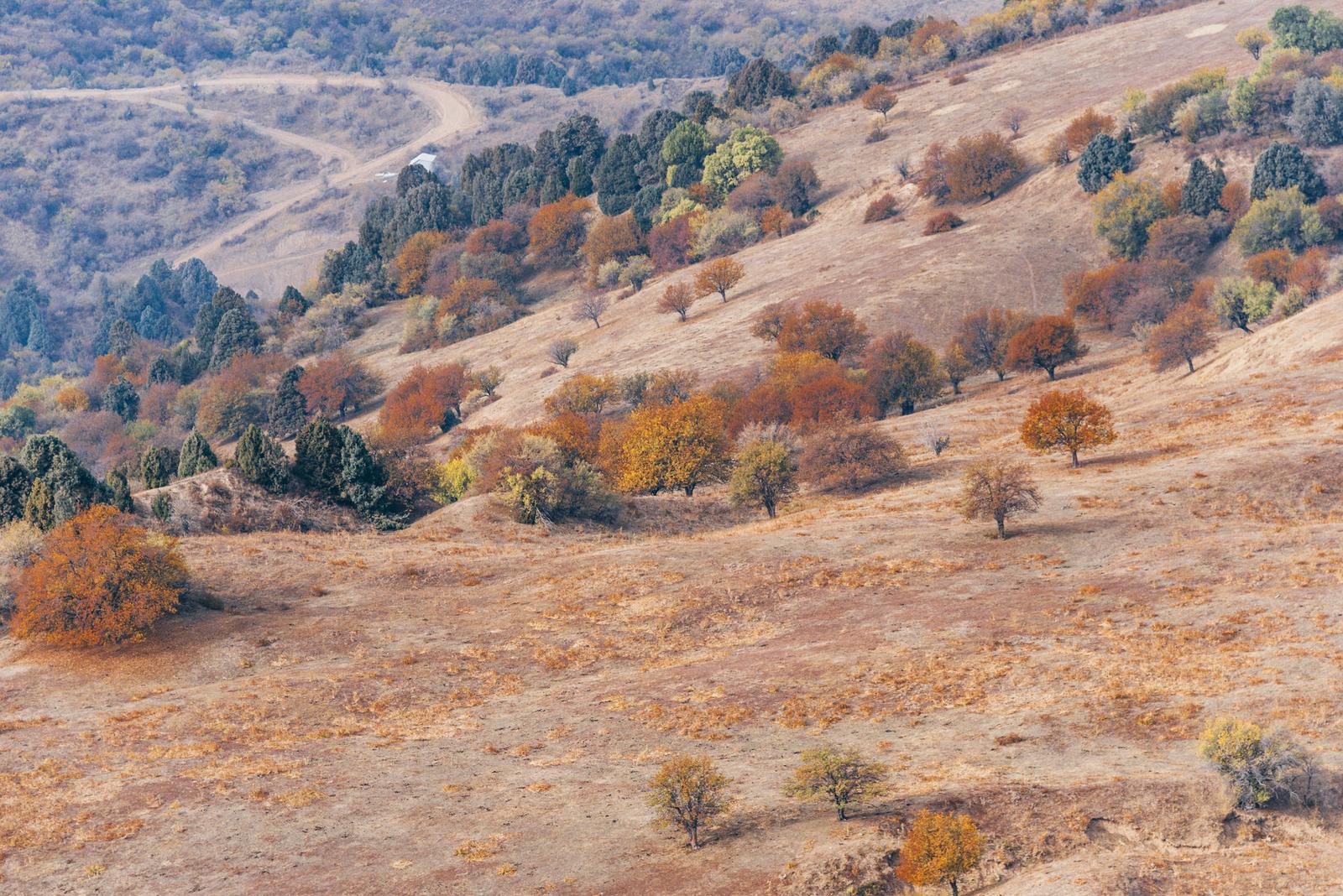 Chimgan Landscape