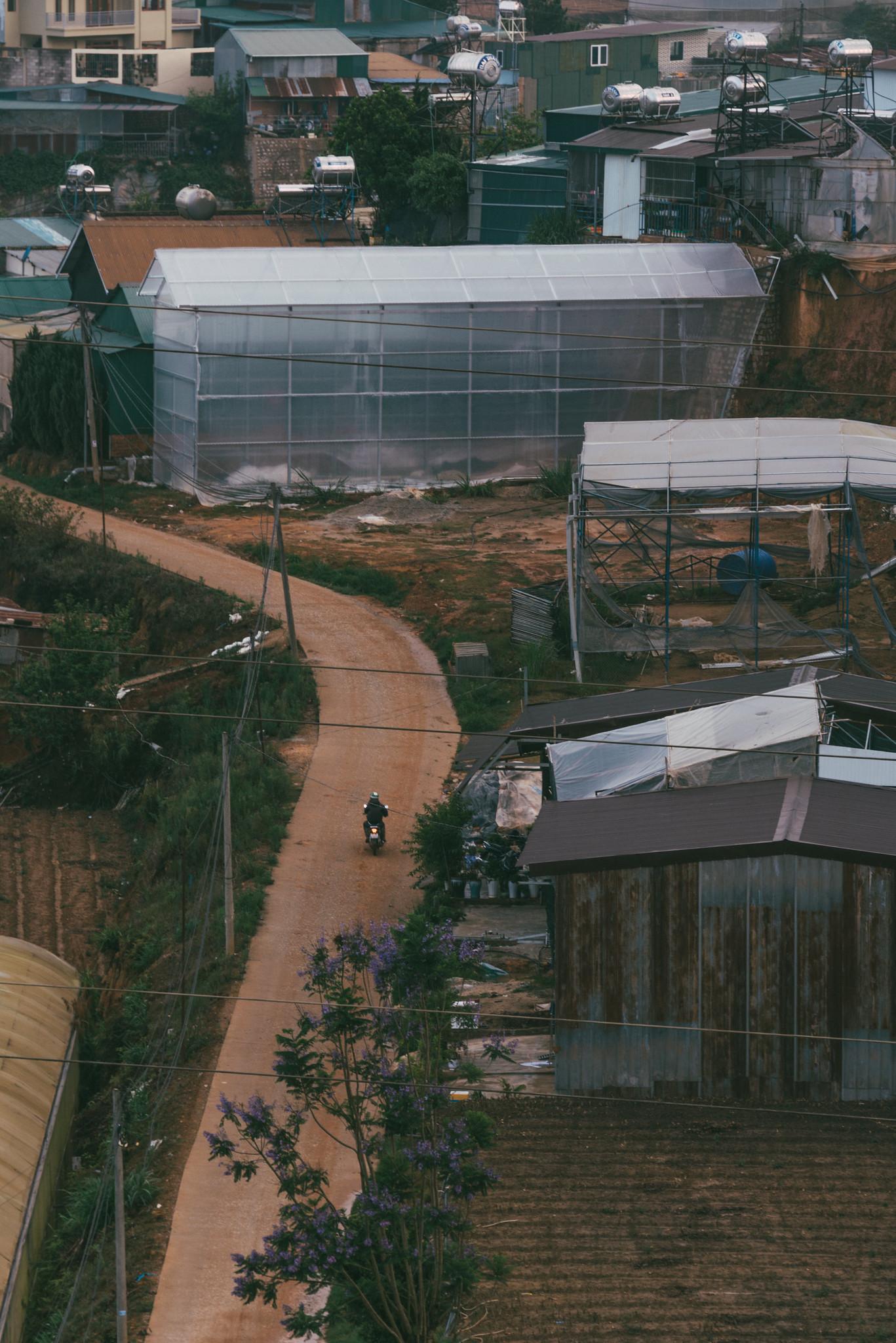 The Road at the Foot of Thien Phuc Duc