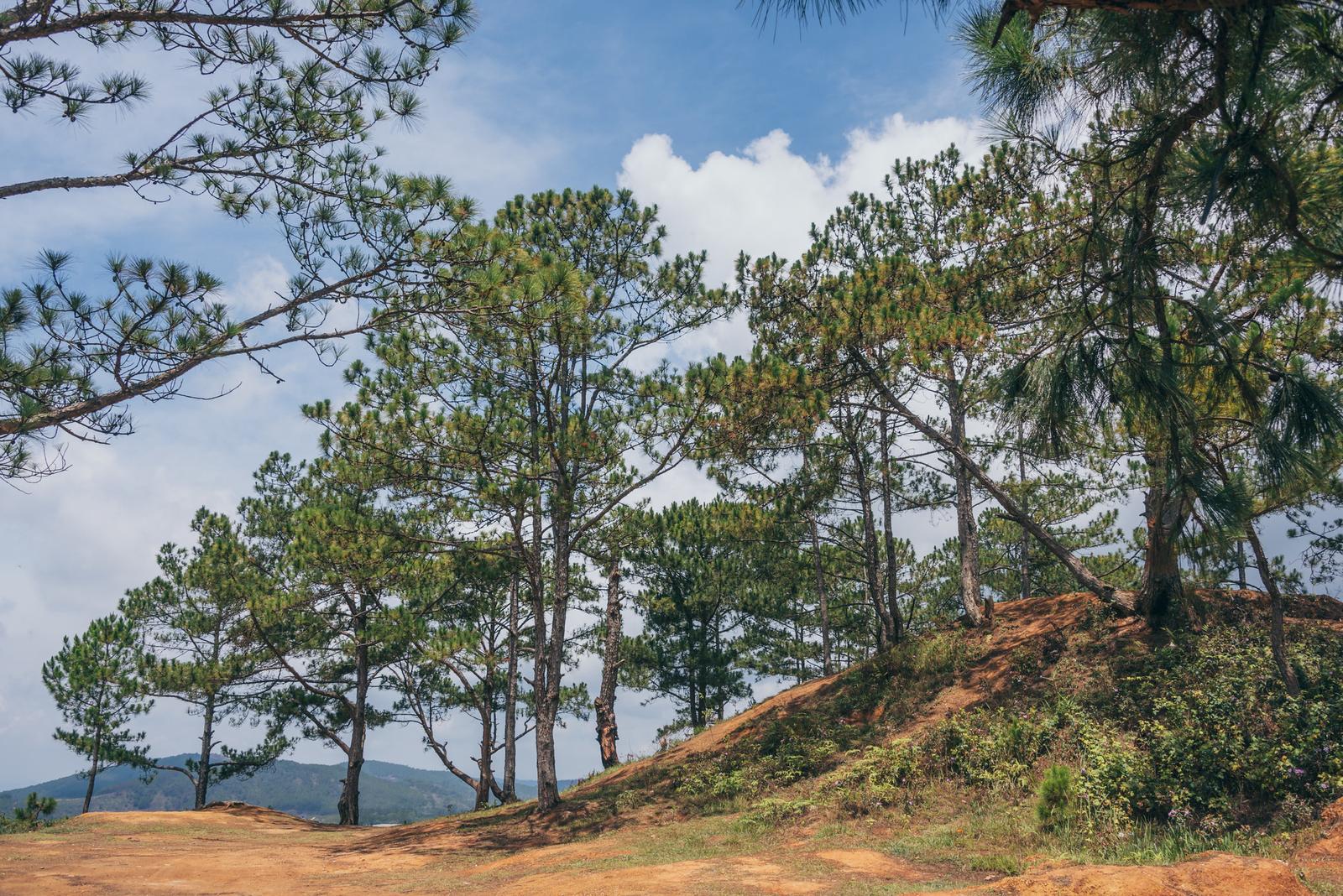 Da Phu Hill Scenery