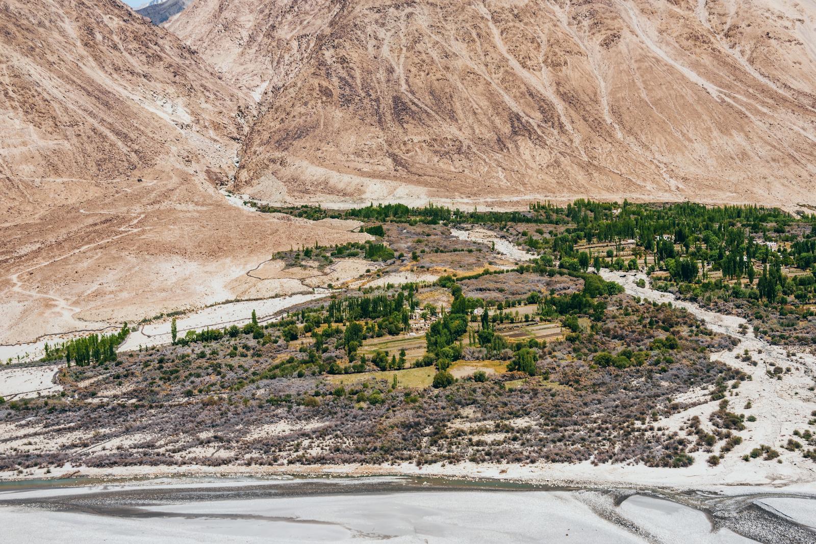 The Green Shyok Valley