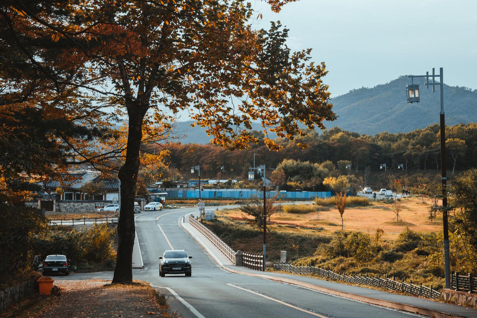 Wheeling along the Rural Road