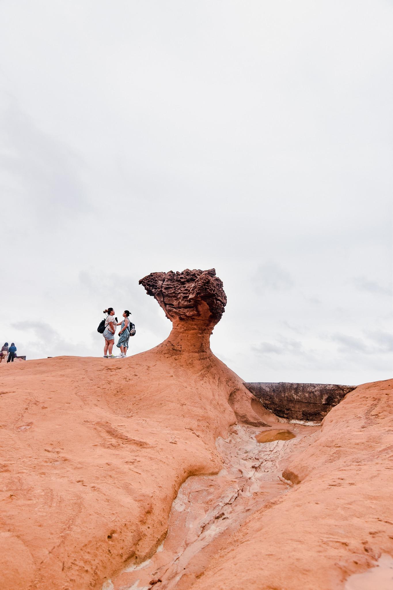 A Mushroom Rock