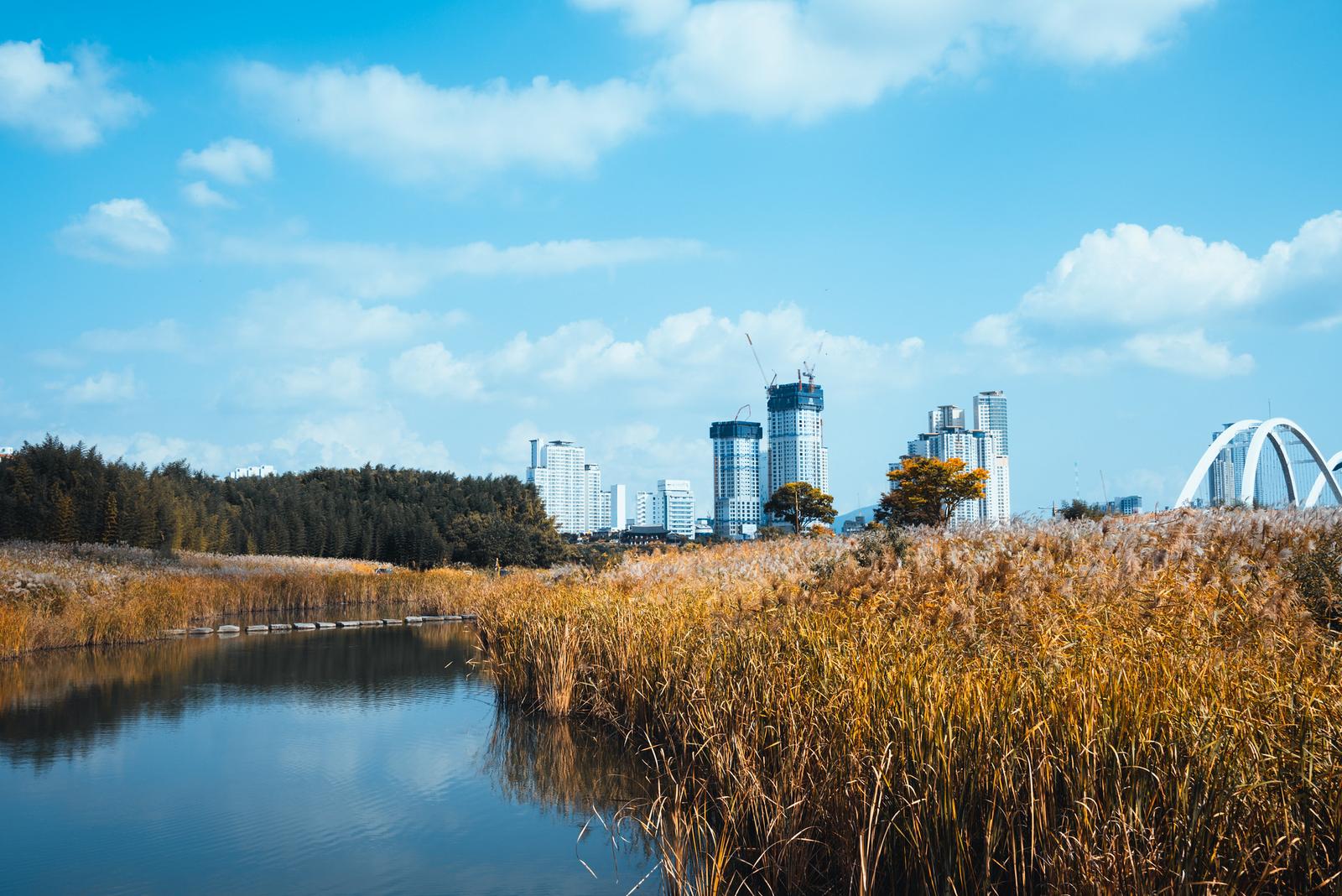 Taehwagang Panorama