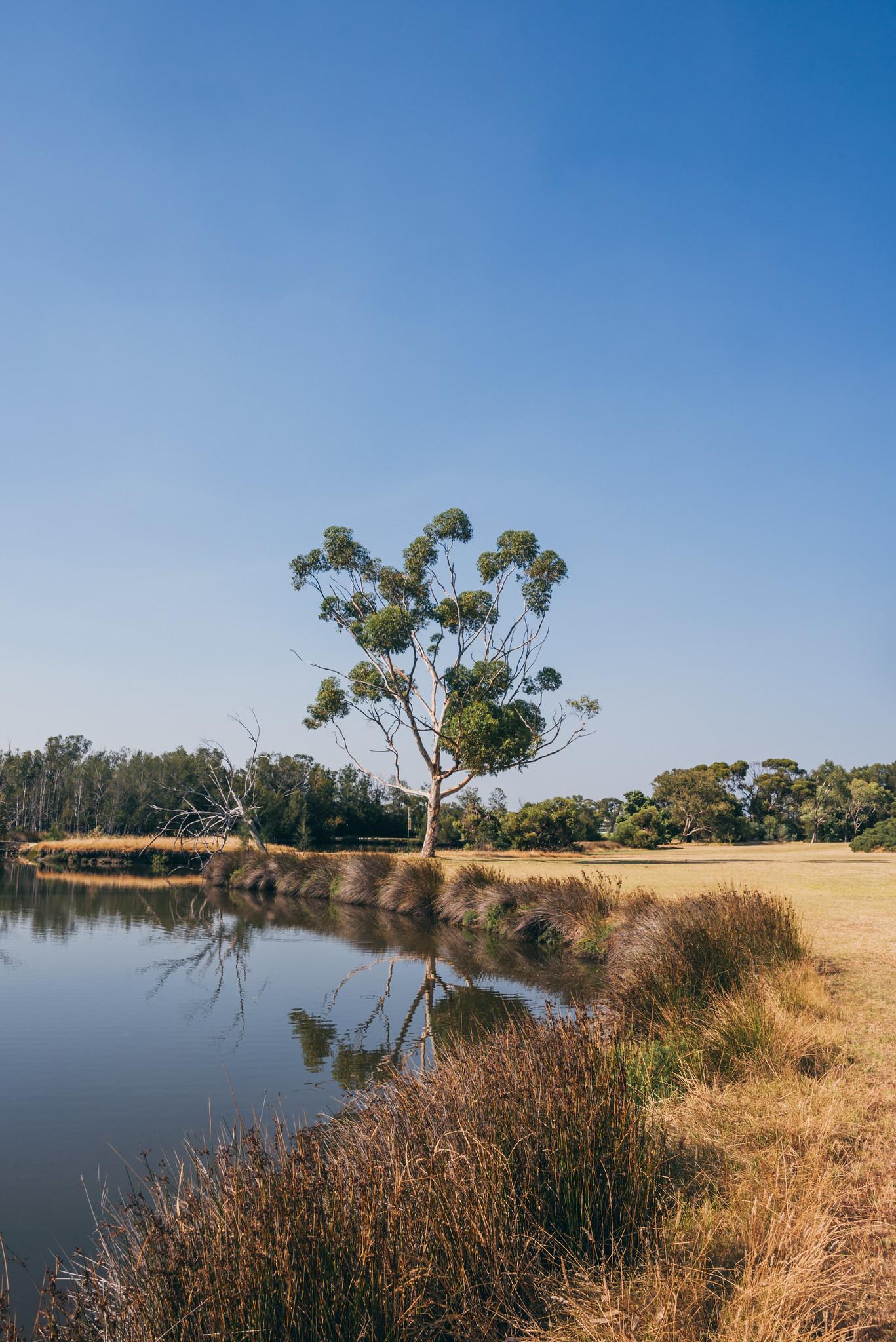 A Tranquil Scene