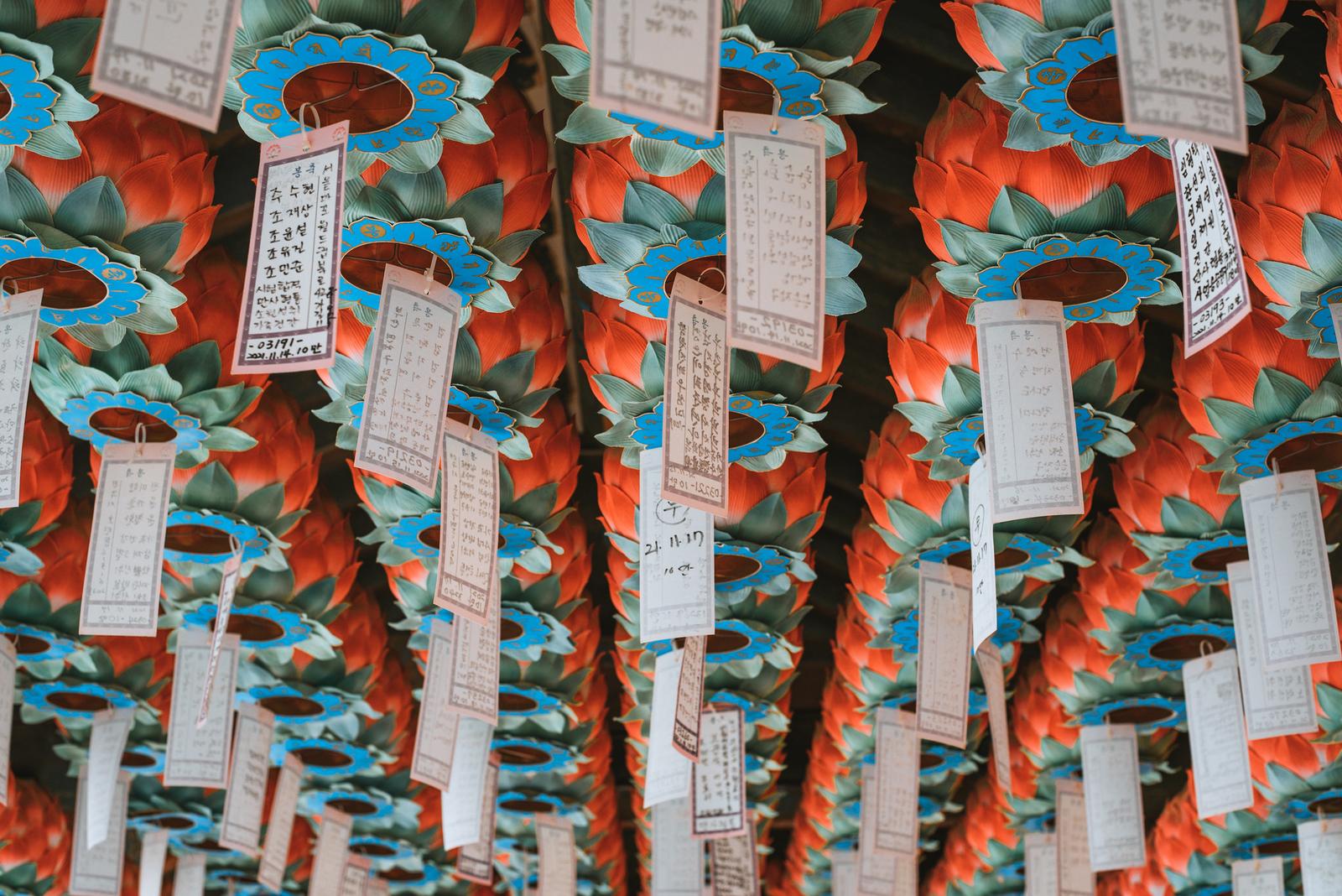 Walking under the Lanterns