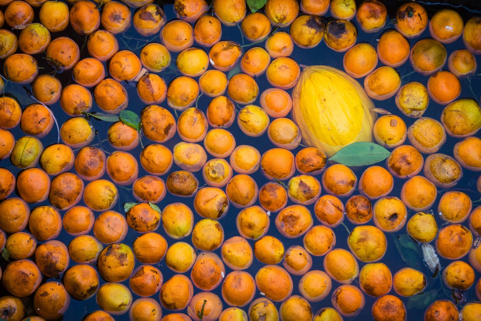 Soaking the Oranges