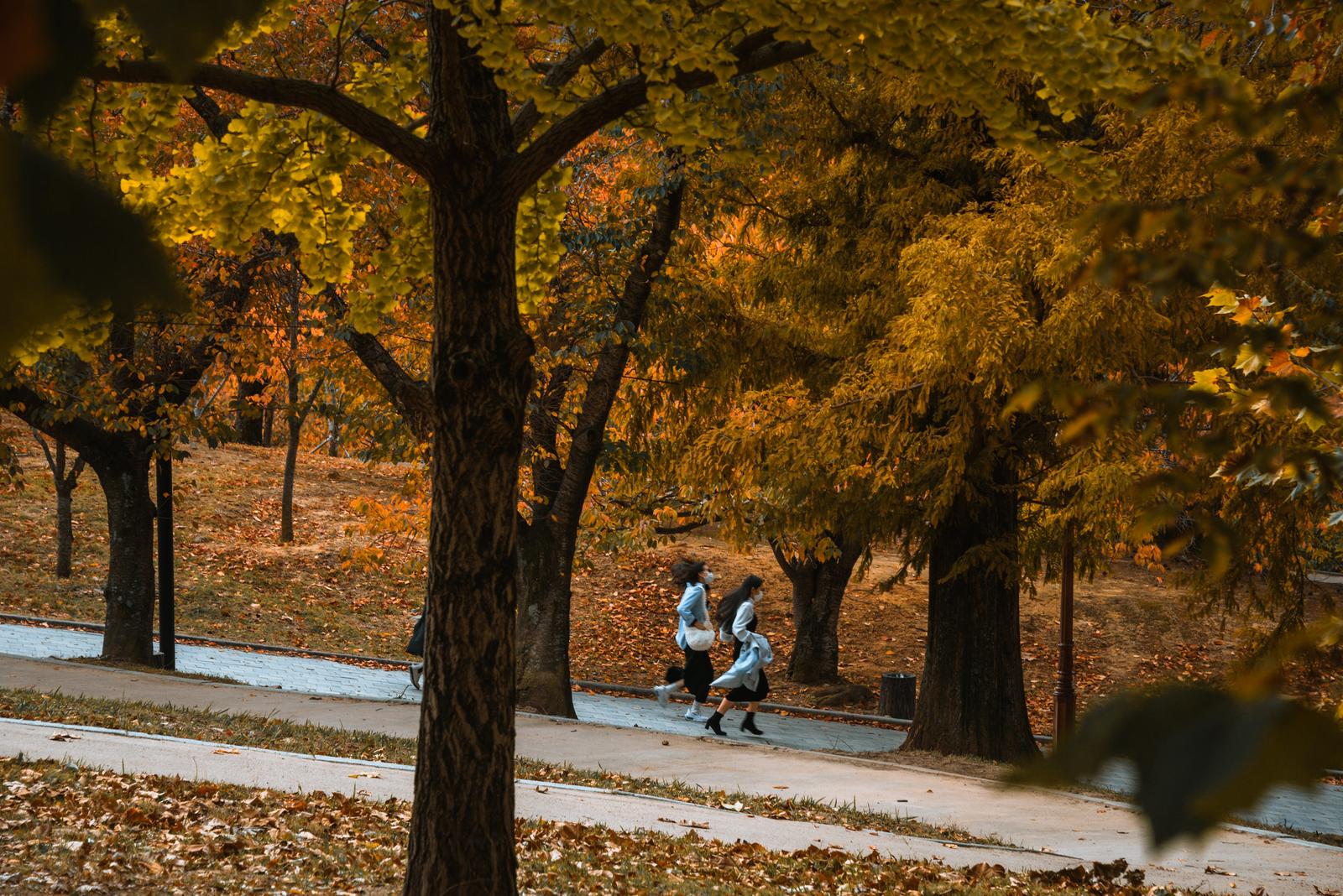 Bulguksa Exit Walkway