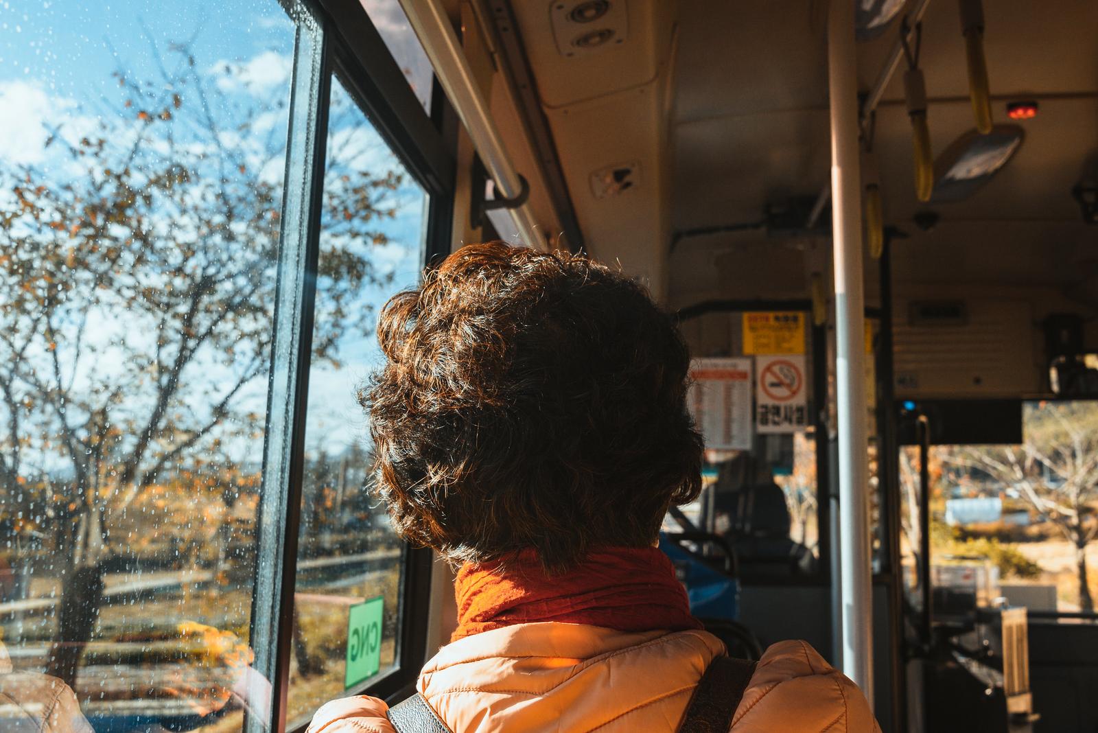 An Ajumma on the Bus