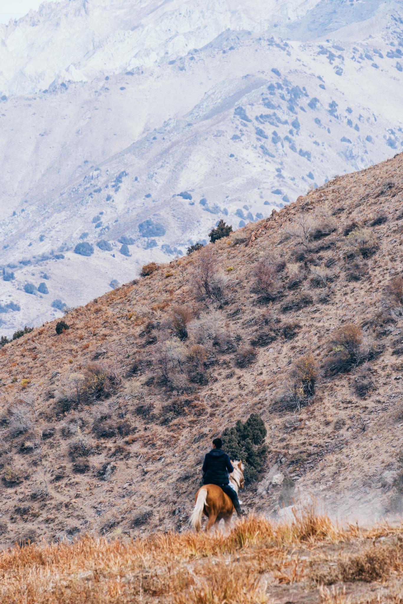 On Horseback