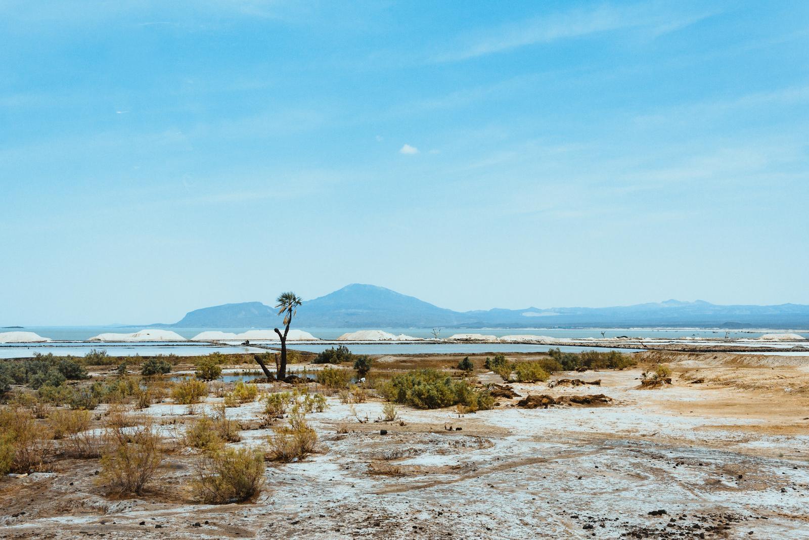 The White Hue of the Saline Lake