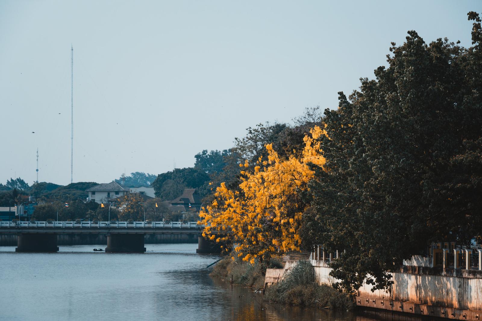 Scenery of the Ping River