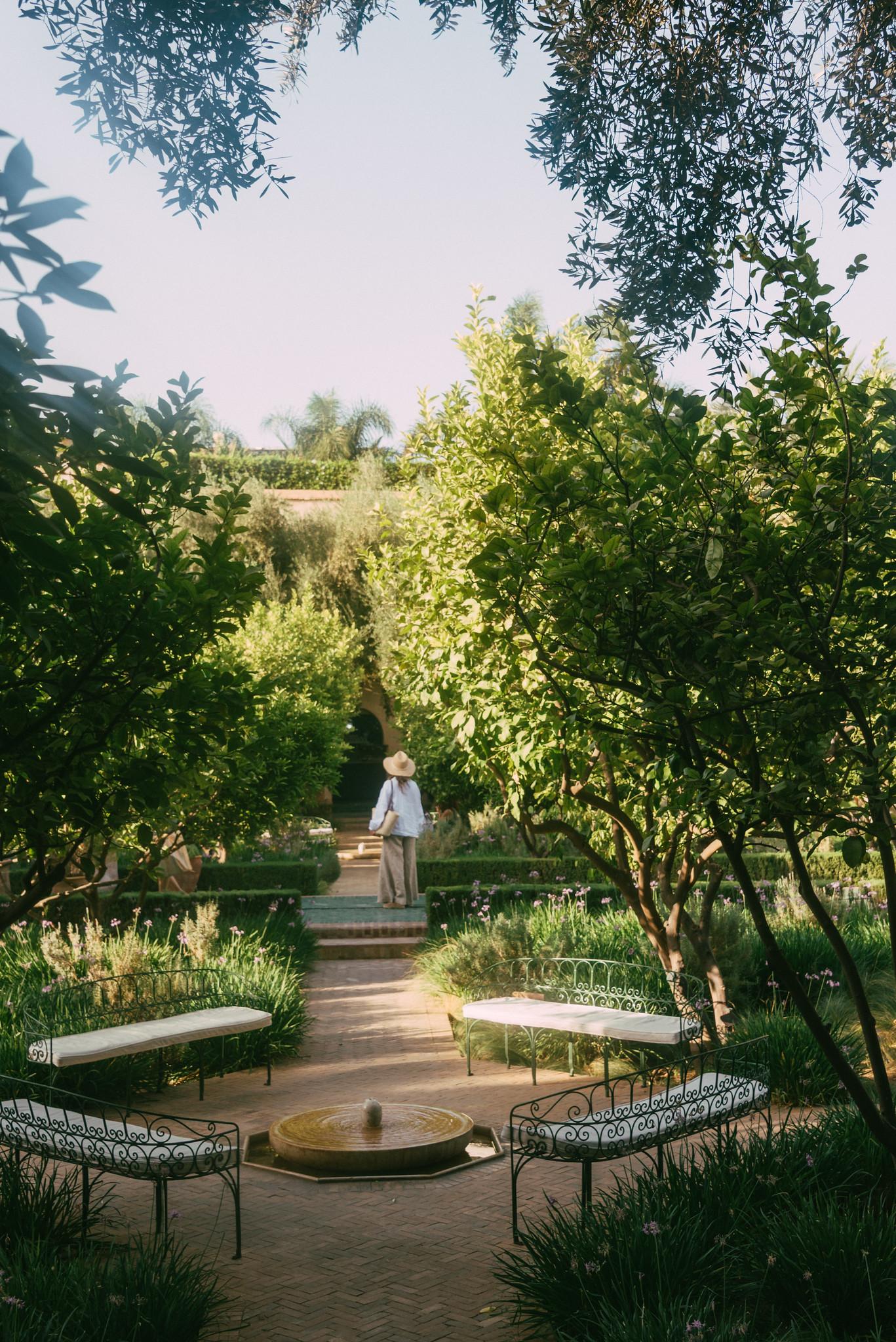 Lost in the Green Oasis