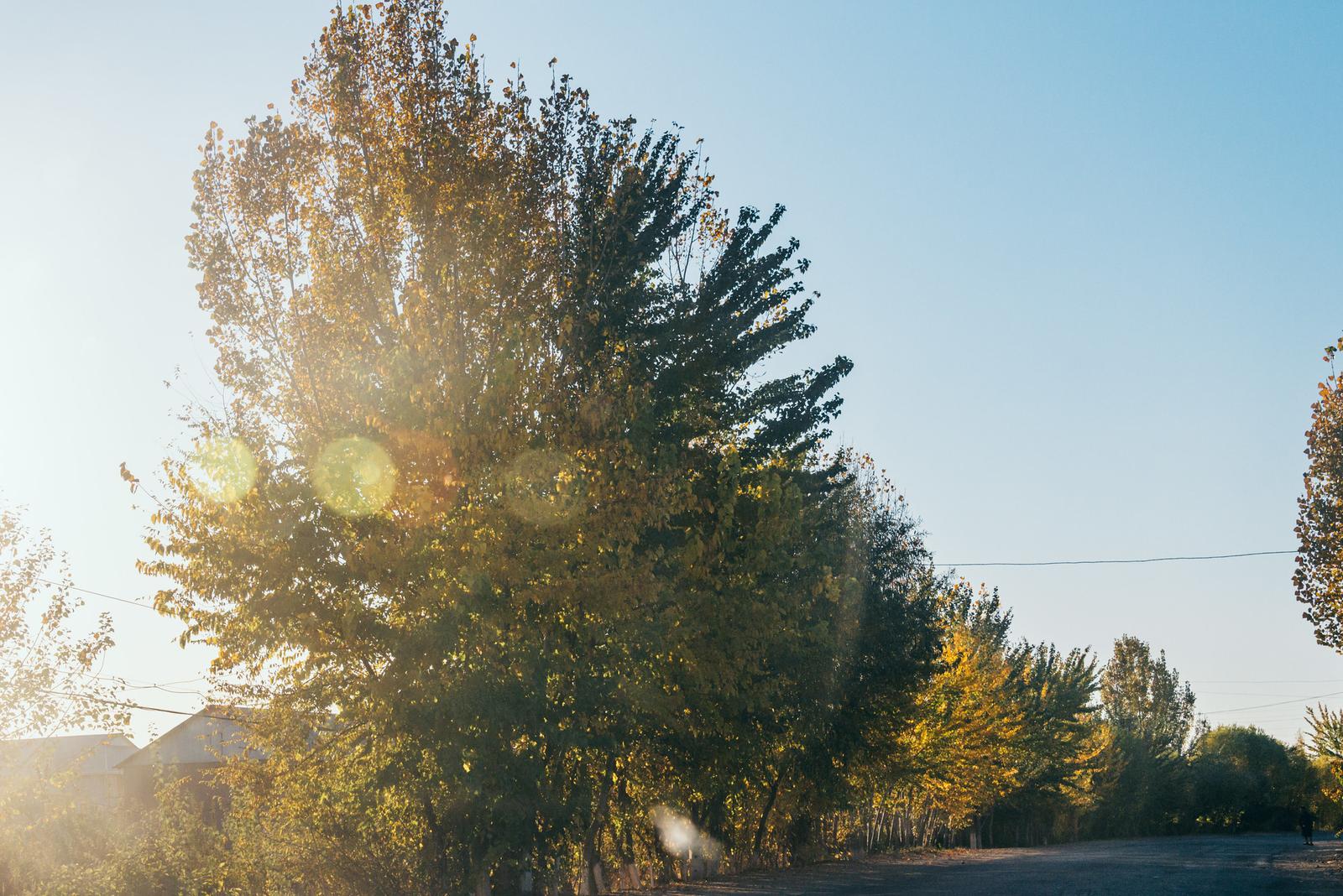 Autumn on the Roads of Karakalpak