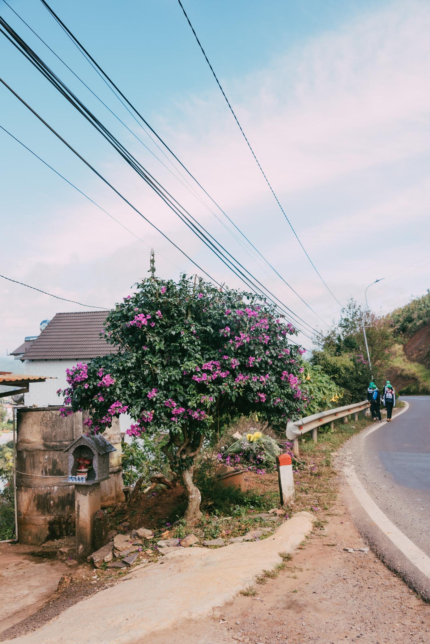 Corners of Xuan Truong