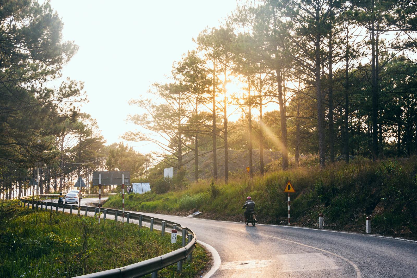 Crossing Roads Alone