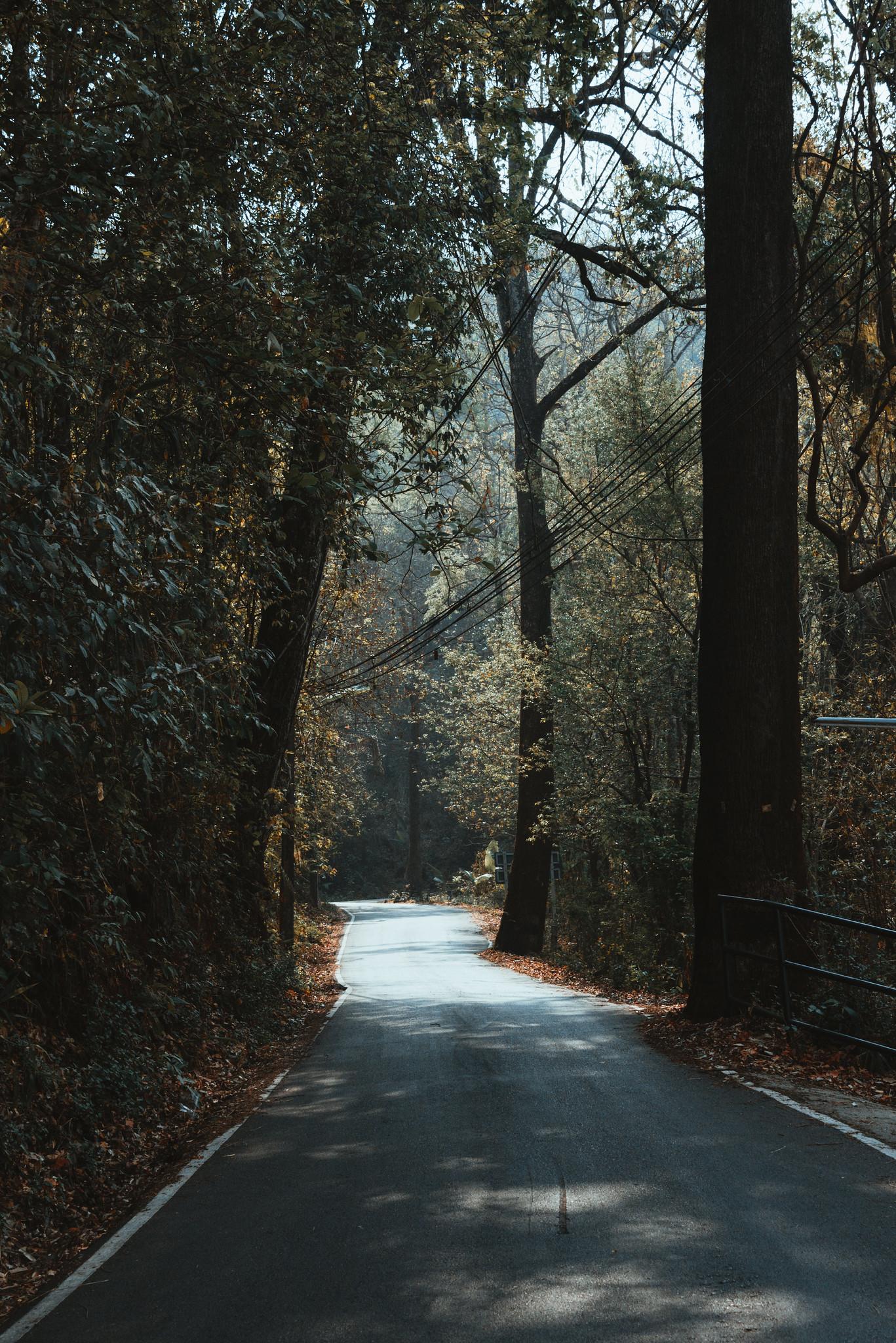 The Pass Leading to Doi Pui