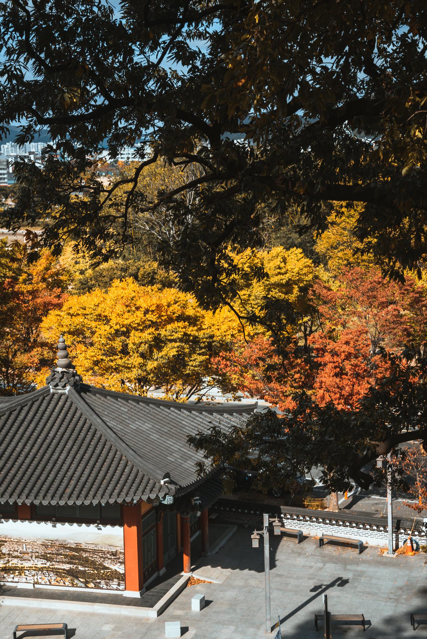 A Traditional Roof in Autumn