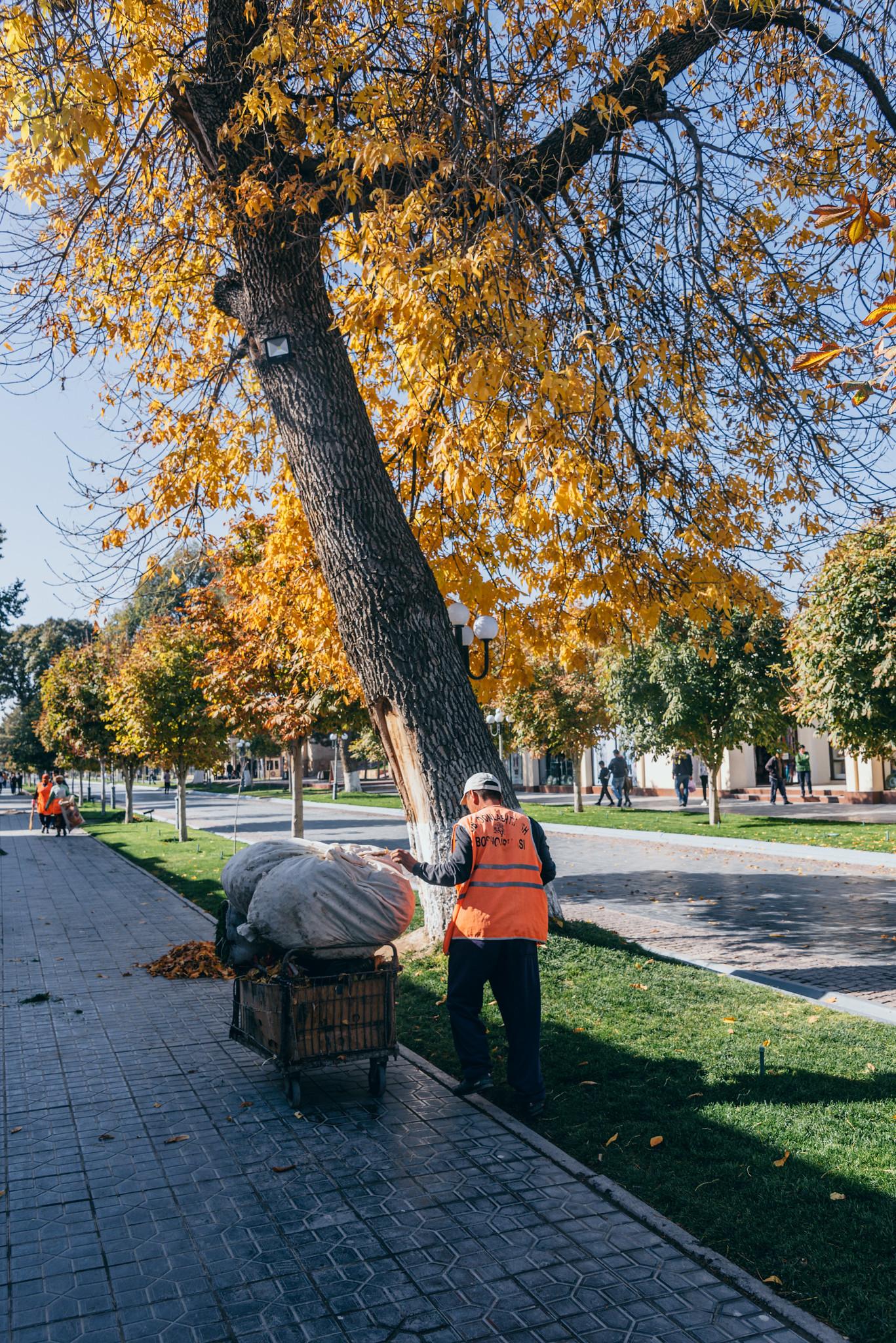 Autumn Tones in Samarkand