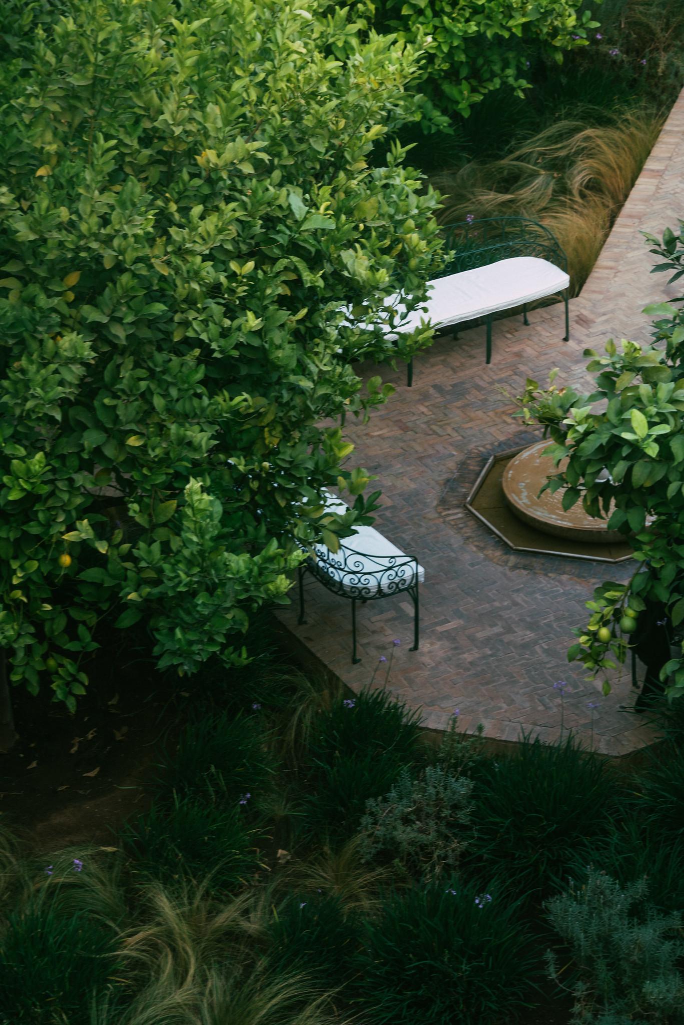 From the Rooftop Balcony