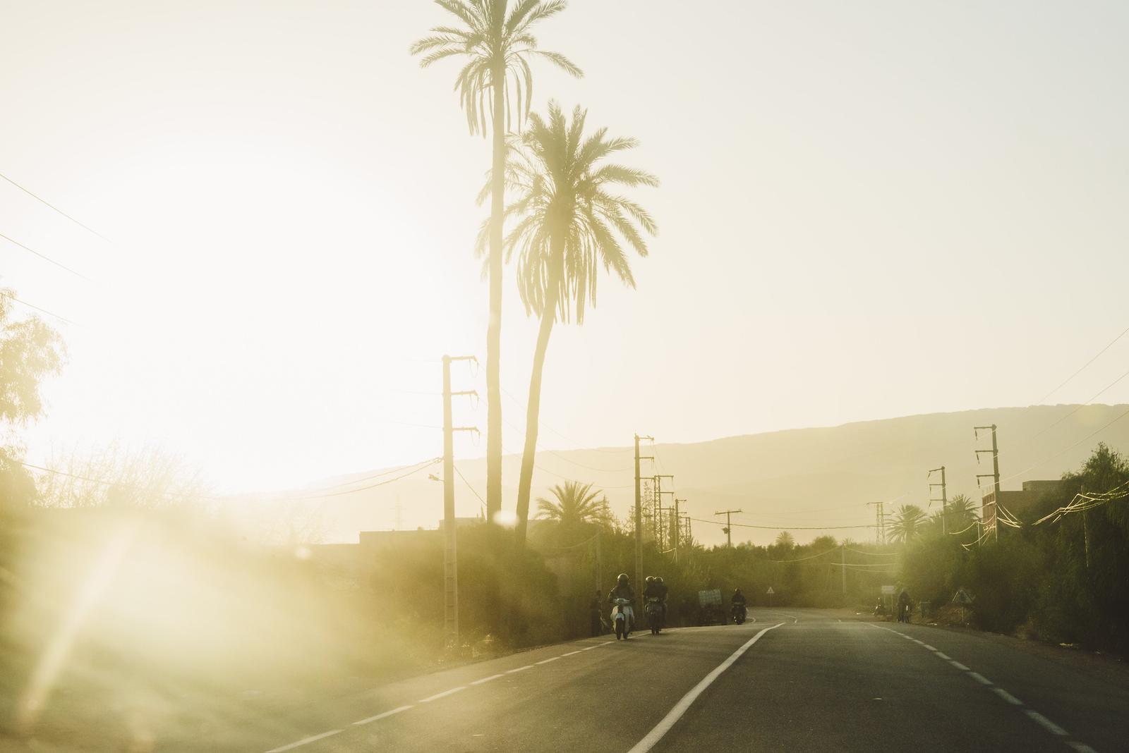 The Minarets, the Palm Trees