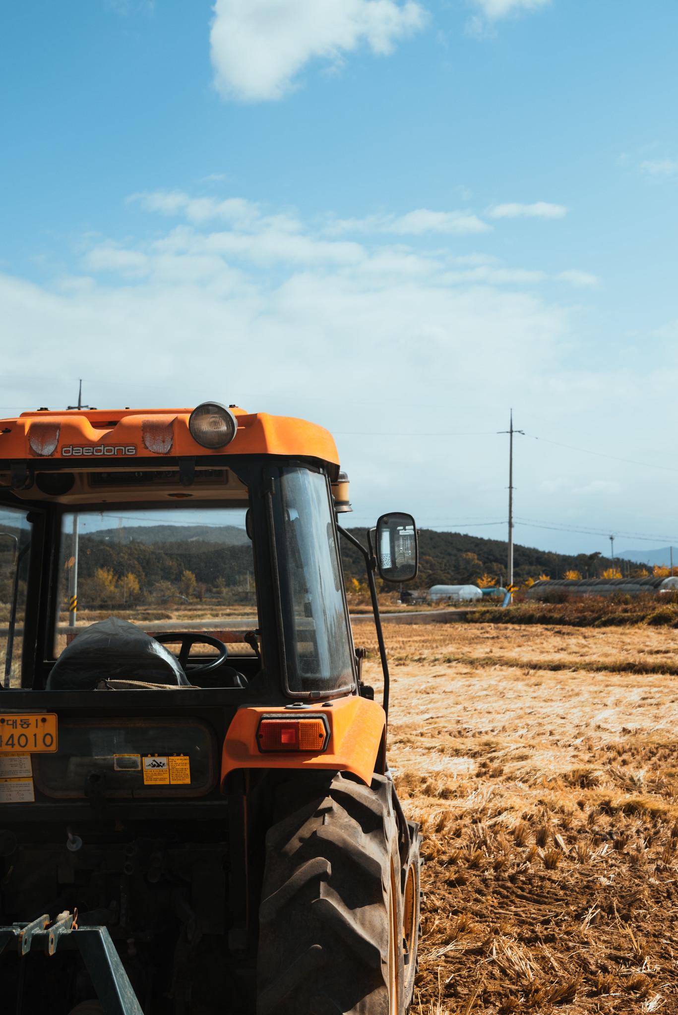 Fields in Harvest