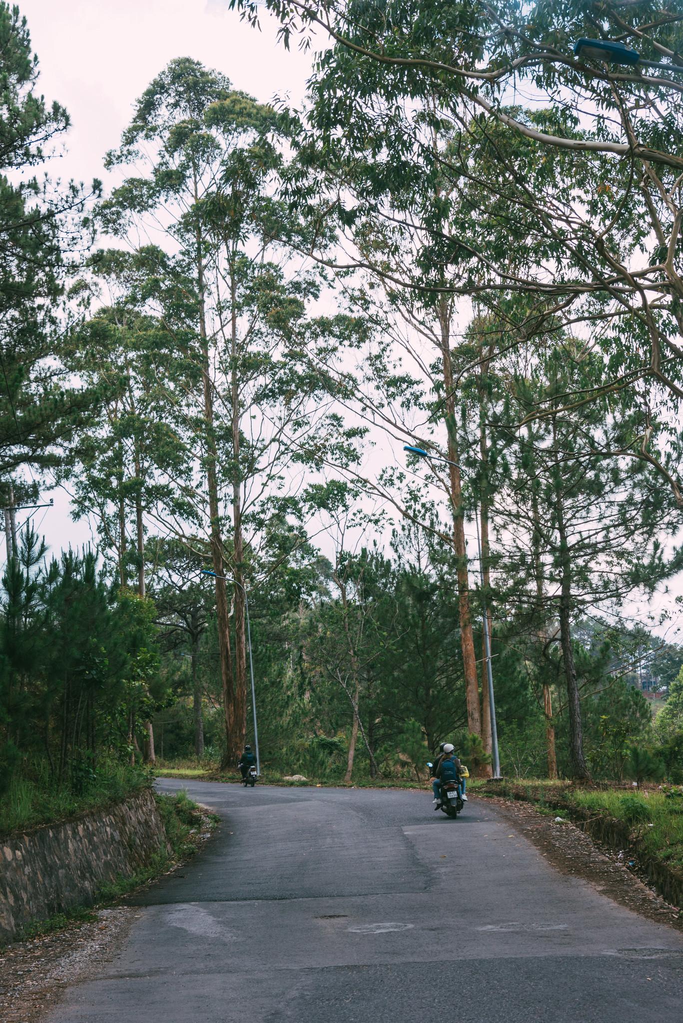 Winding Lakeside Road