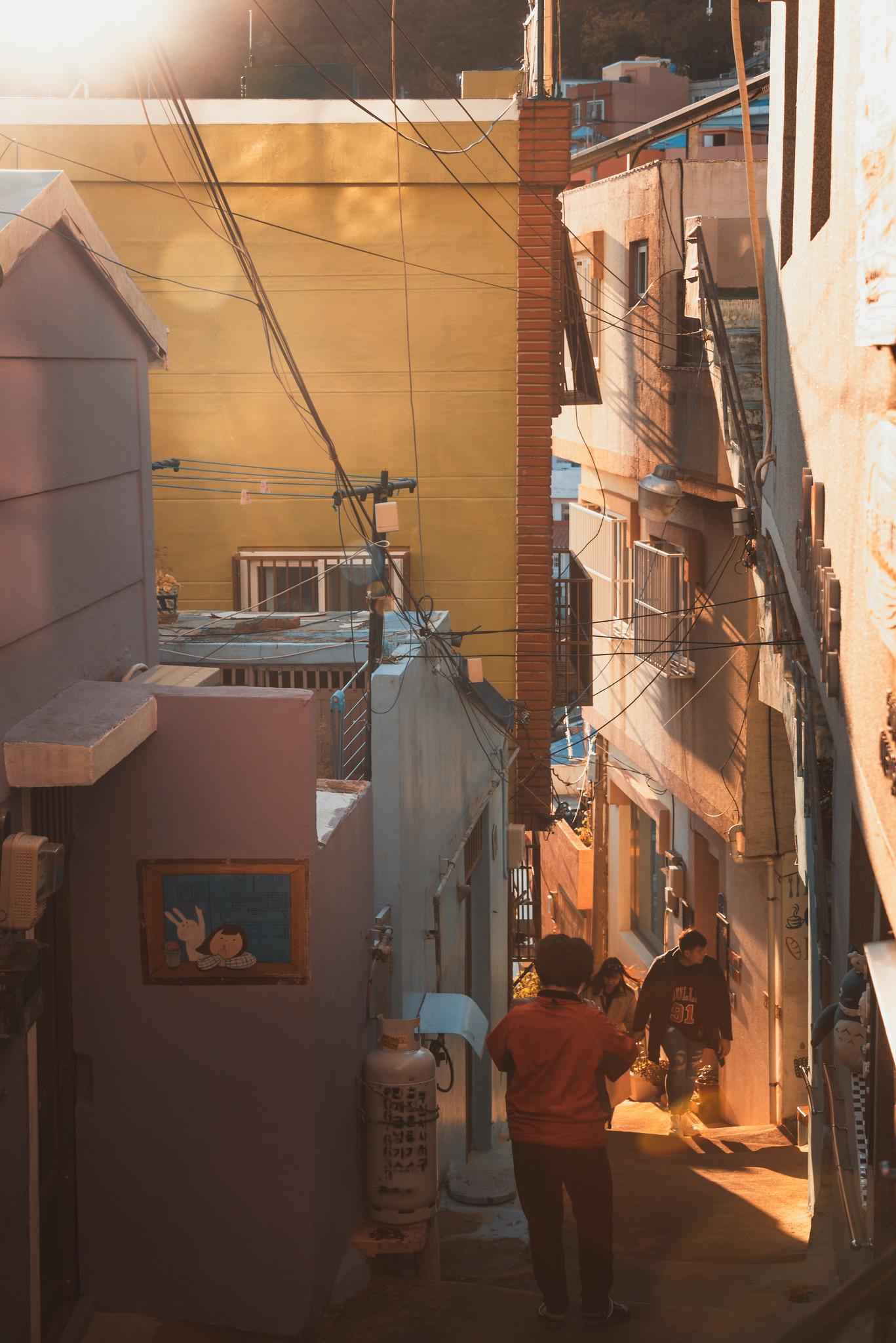 Down the Alley