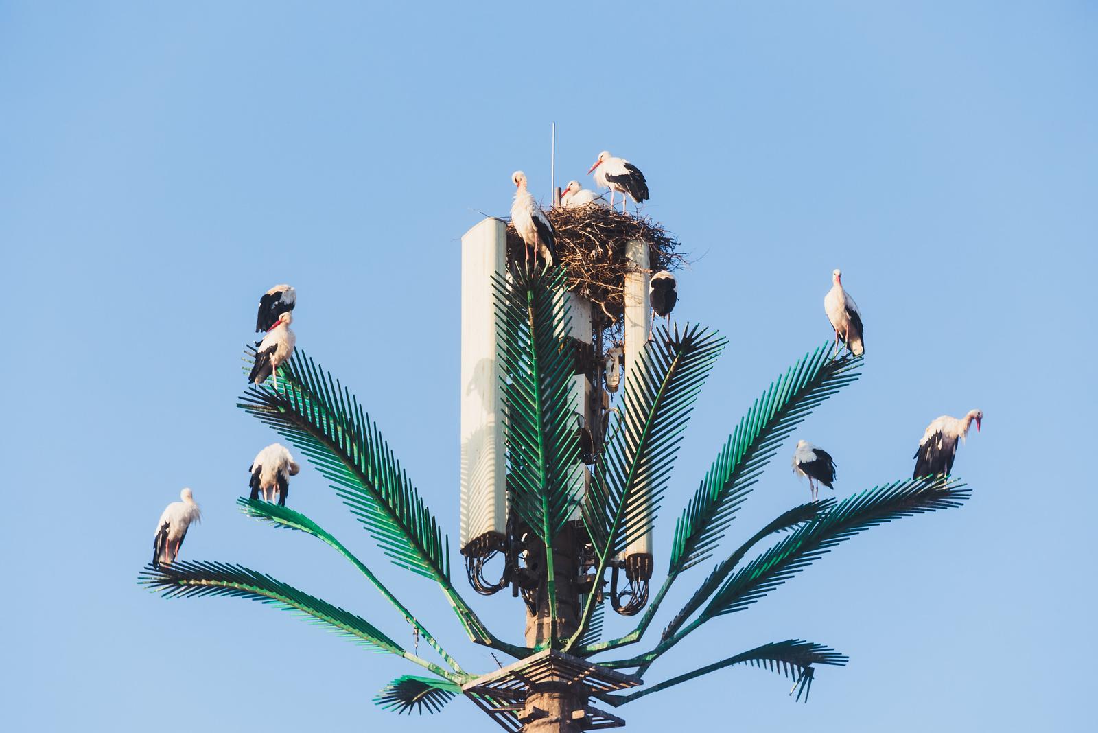 Ochre on the Blue Sky