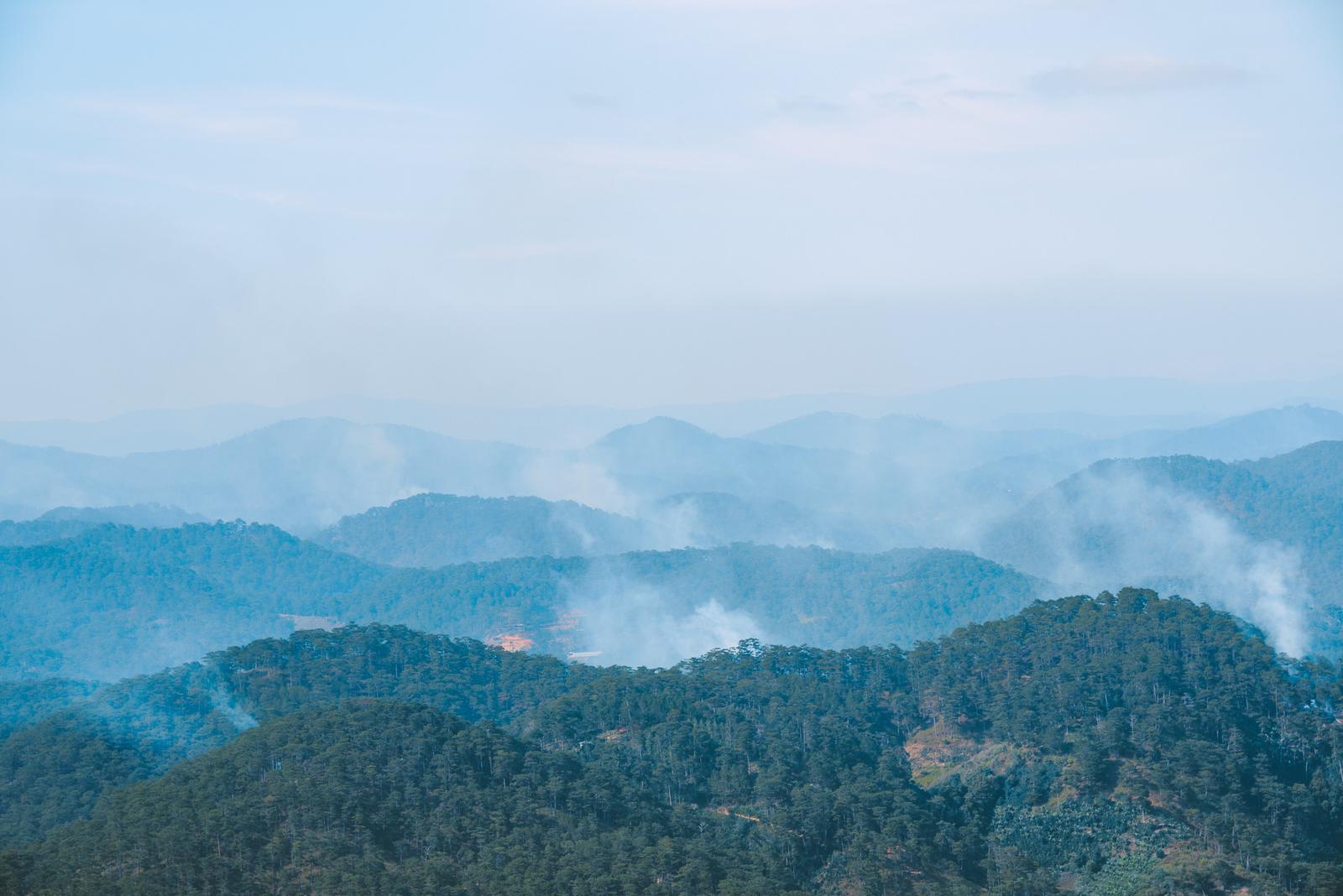 Mountain Mist