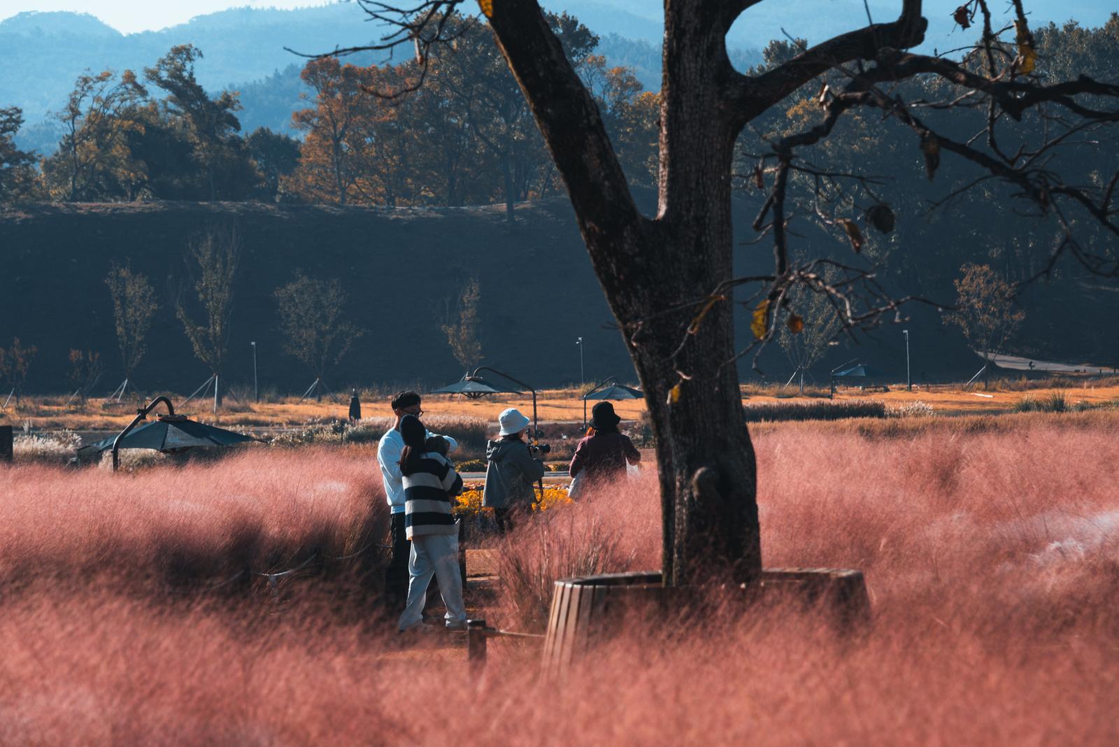 Swamped in the Sea of Pink