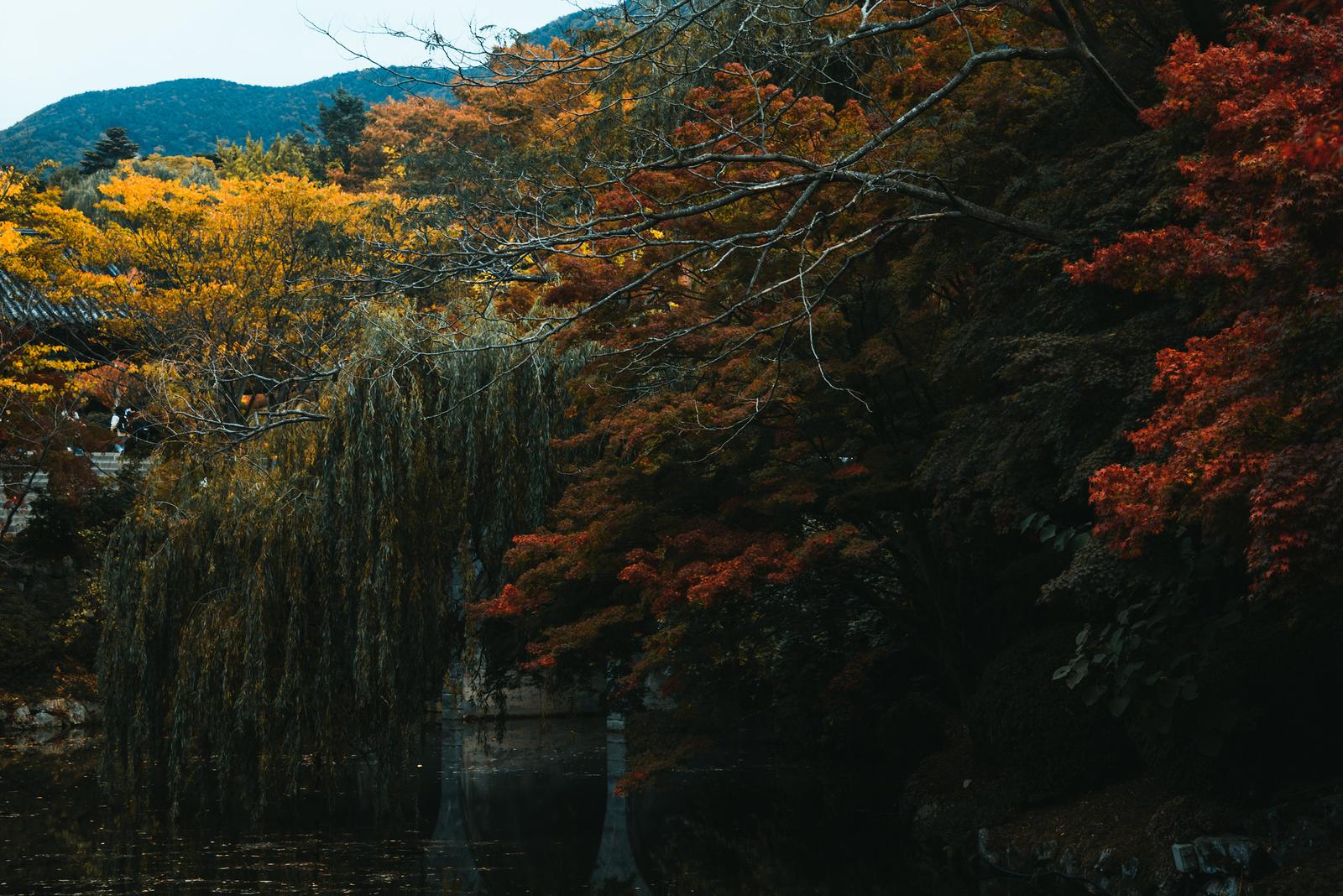 Pond in Bulguksa