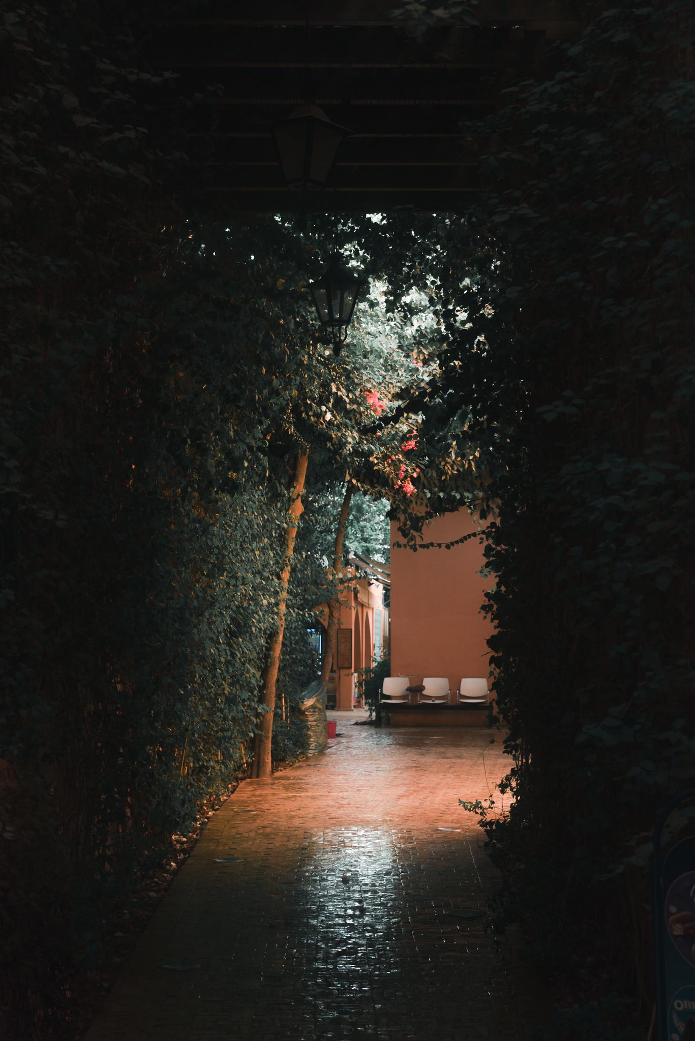 Alleys in the Medina