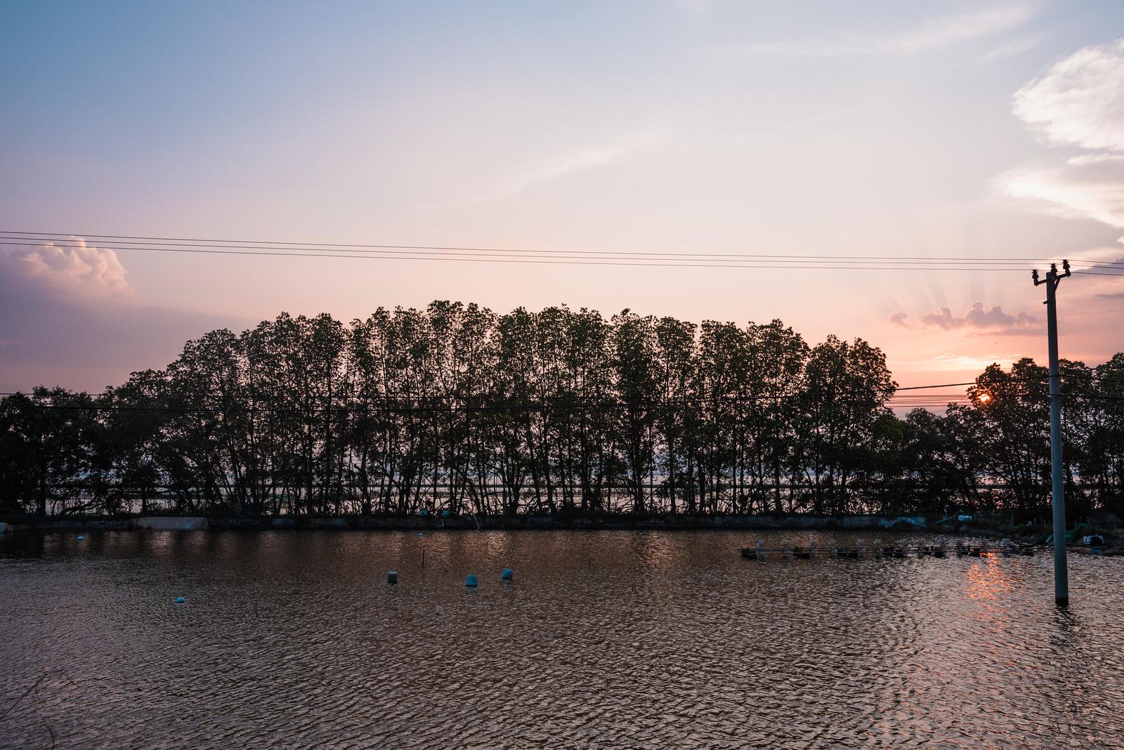 Sunset over Seafood Farms