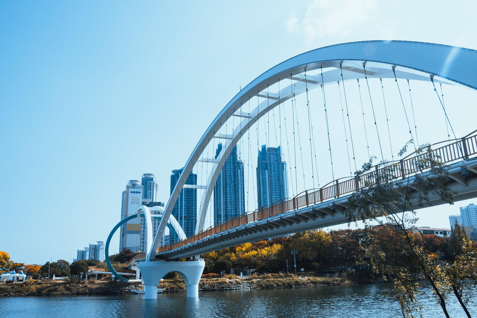 The Pedestrian Bridge