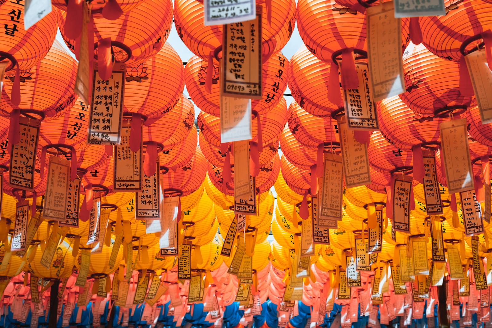 Walking under the Lanterns