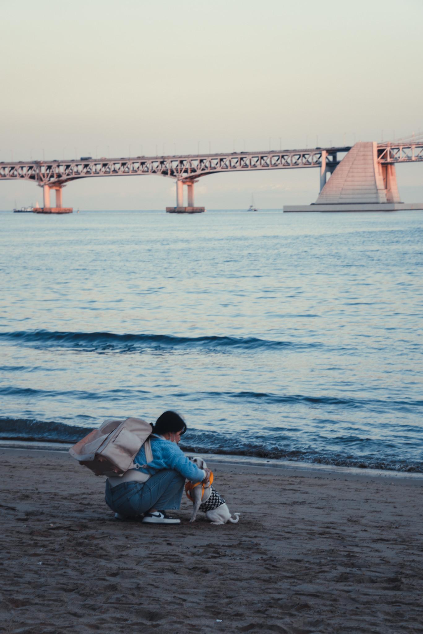 Human and Gwangan Bridge