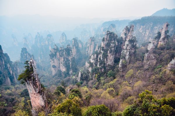 Zhangjiajie, Mar 2018