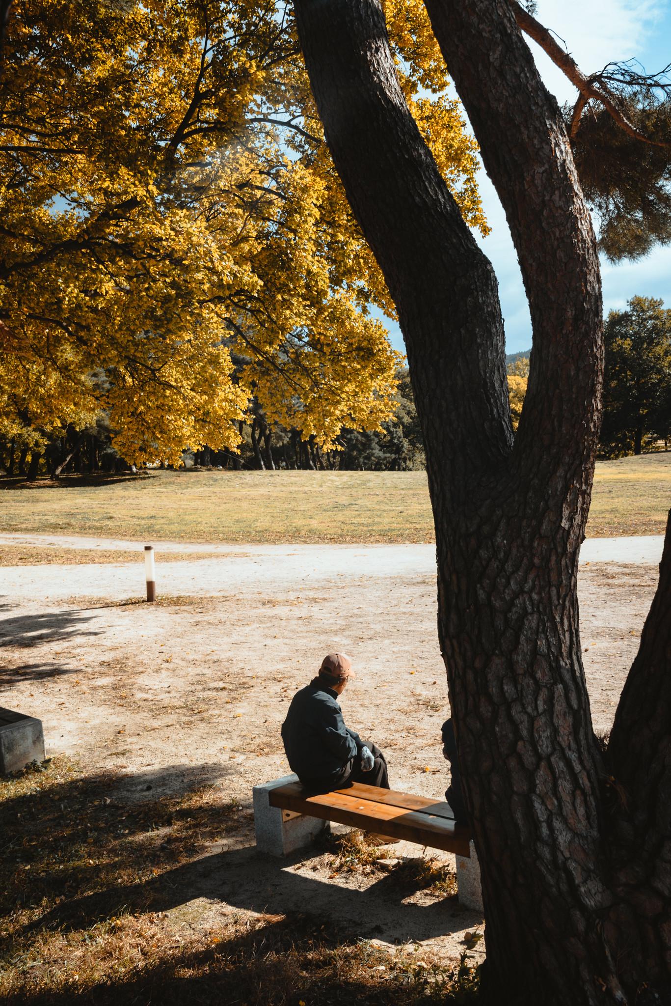 Human in the Woods