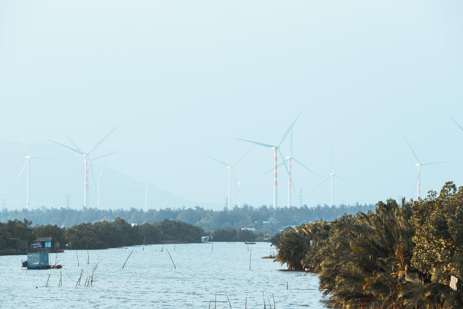 Wind Turbines Field