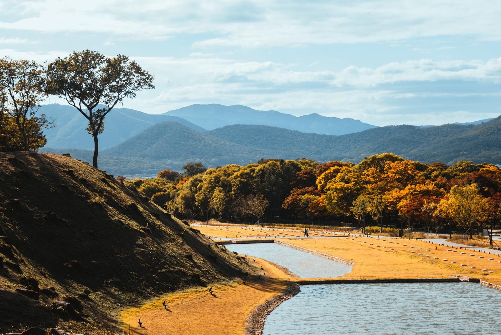 Tầm view từ Wolseong