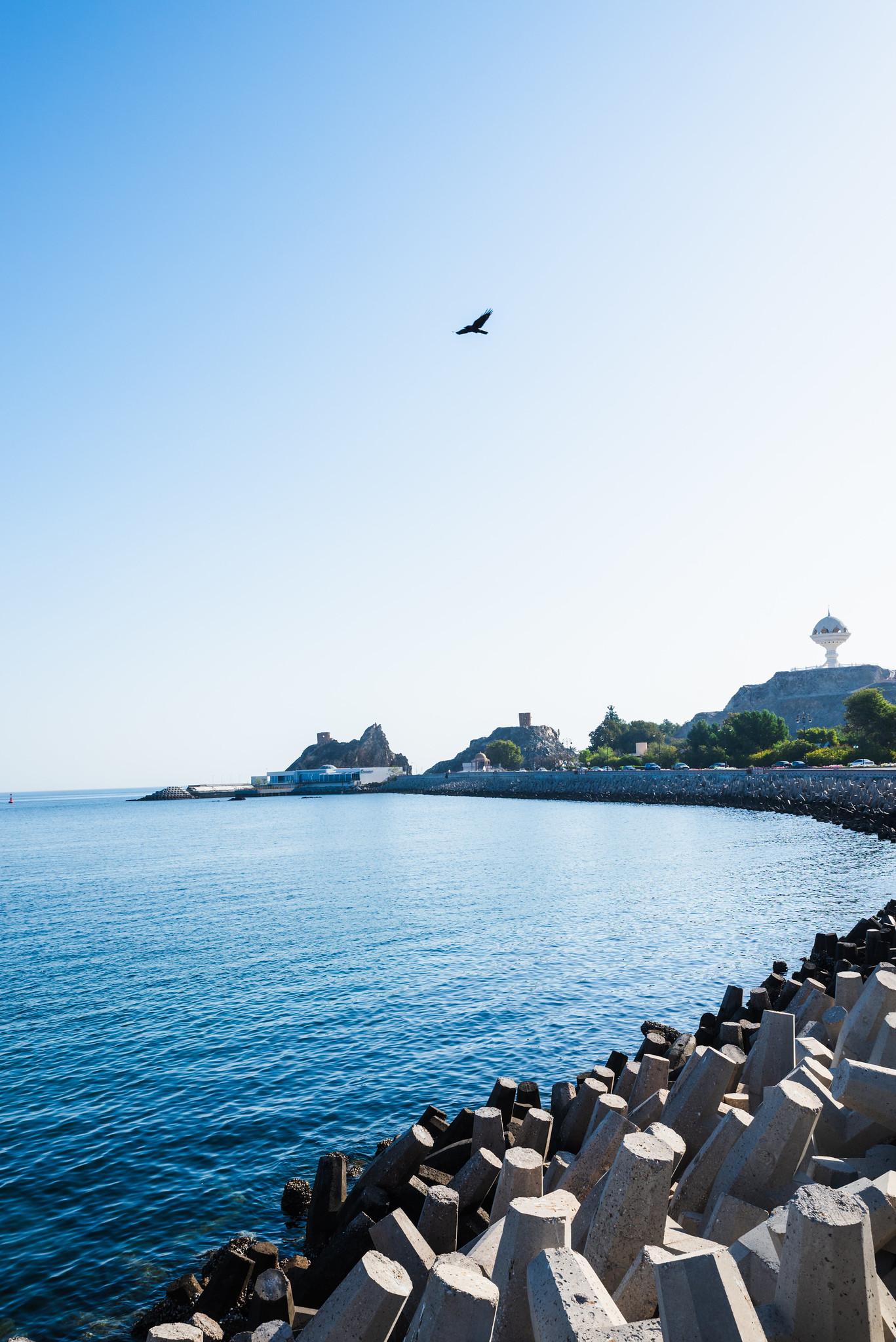 Seawall
