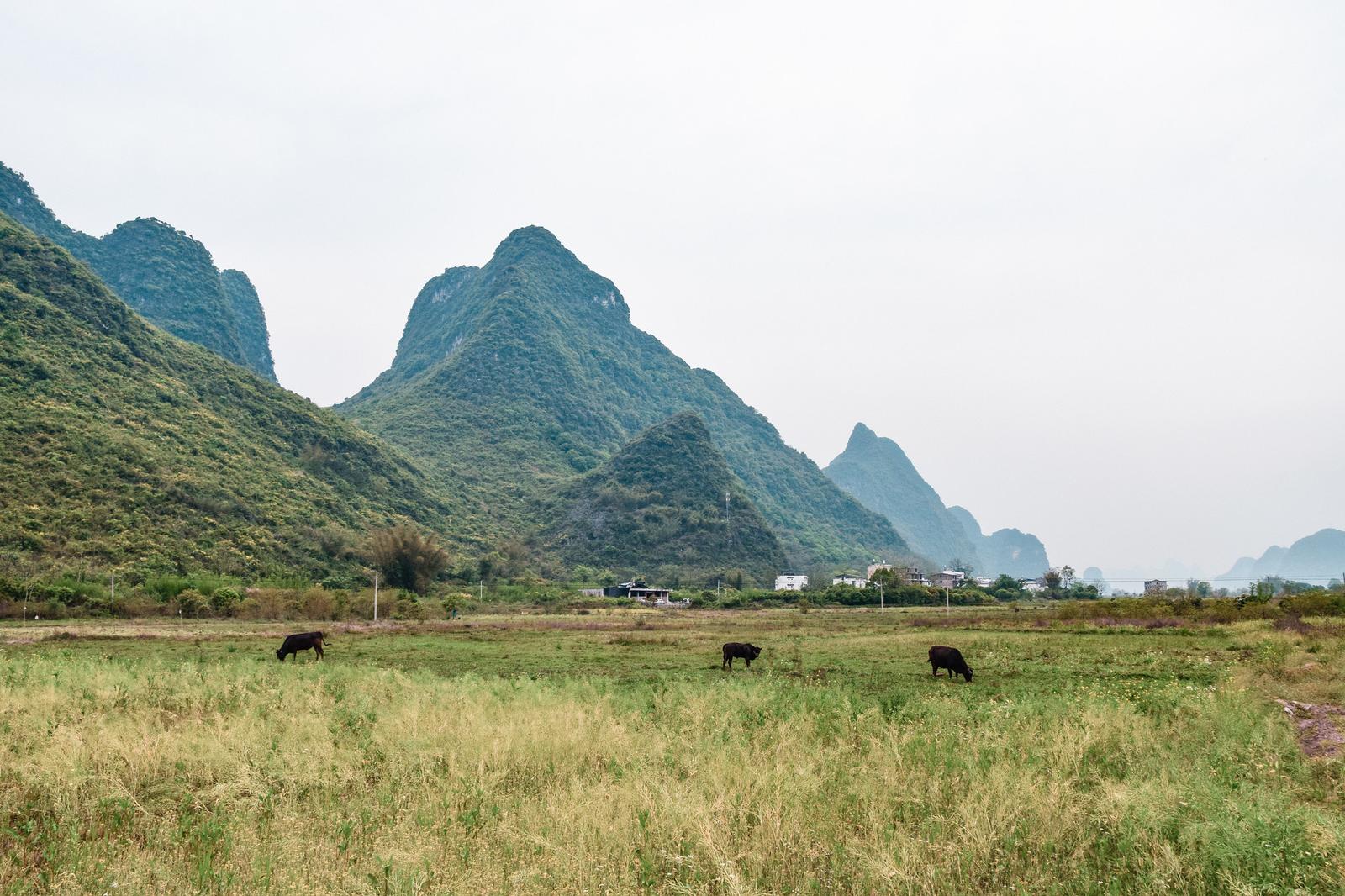 Cycling along Li River Valley