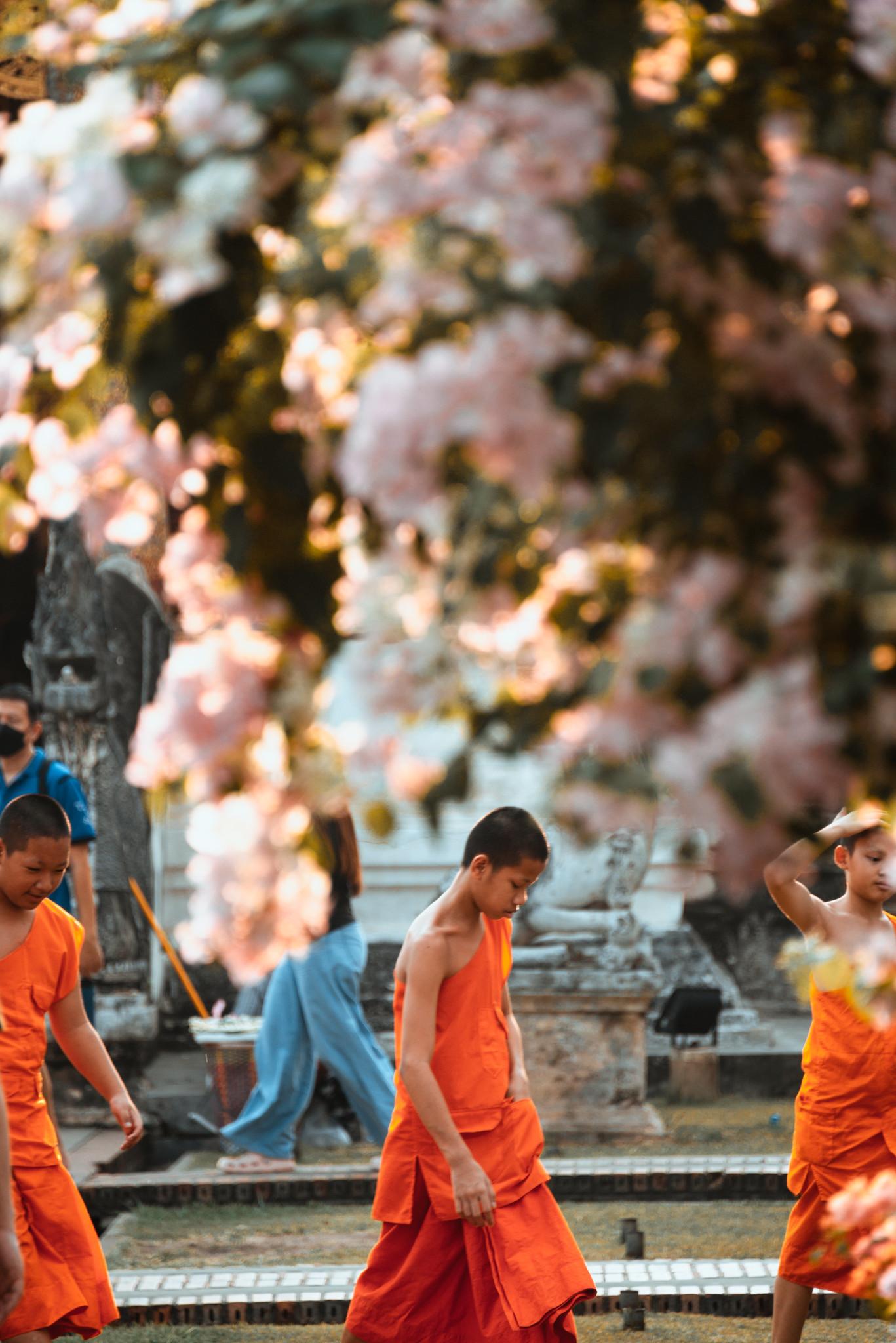 Trong khuôn viên đền Wat Phra Singh