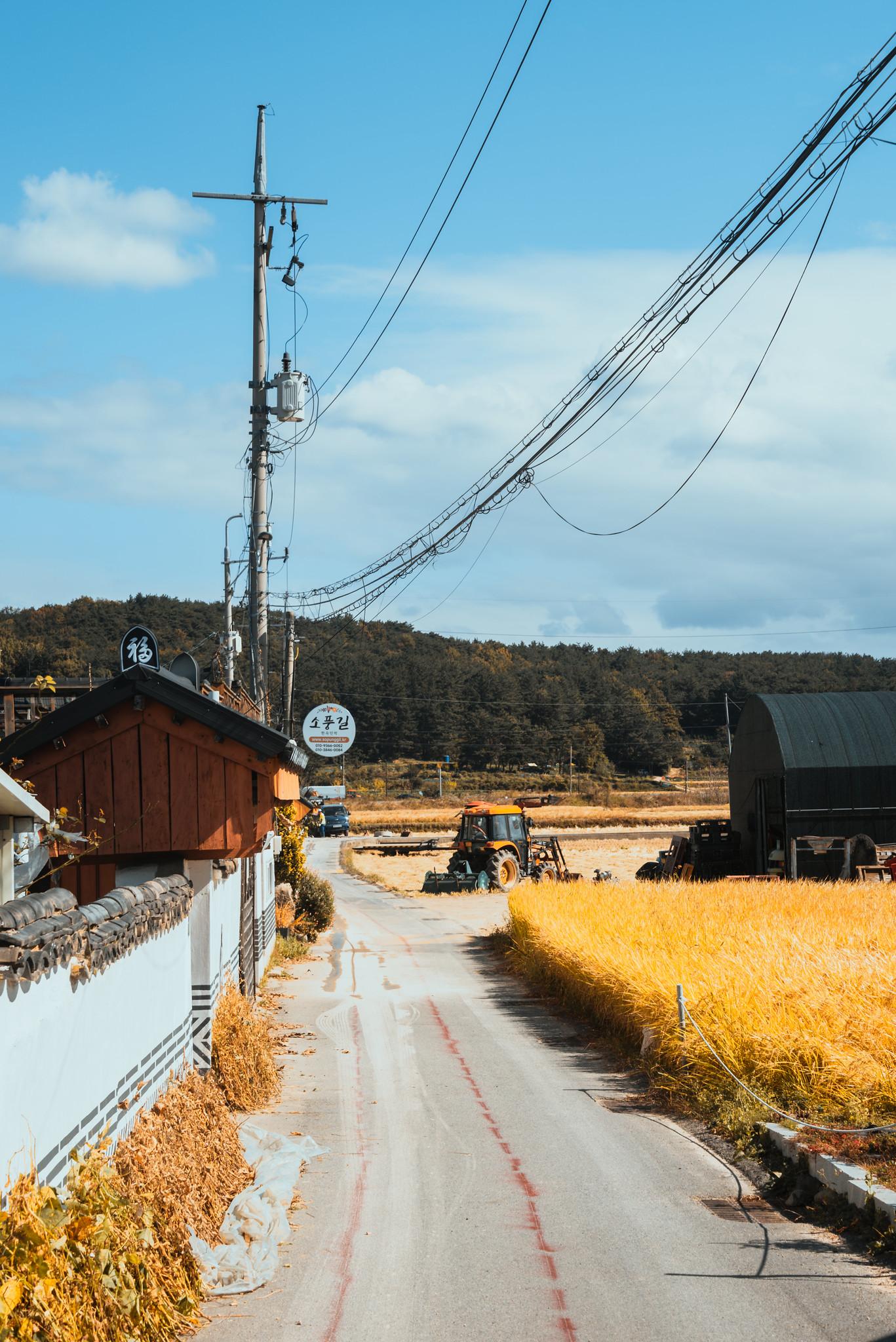 Fields in Harvest