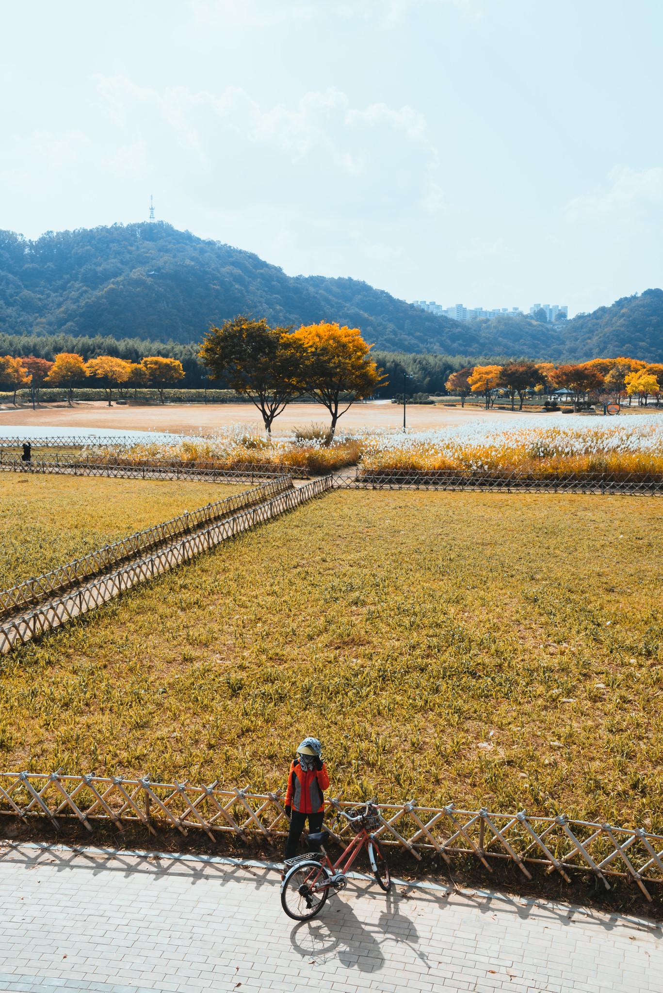 Human at Taehwagang